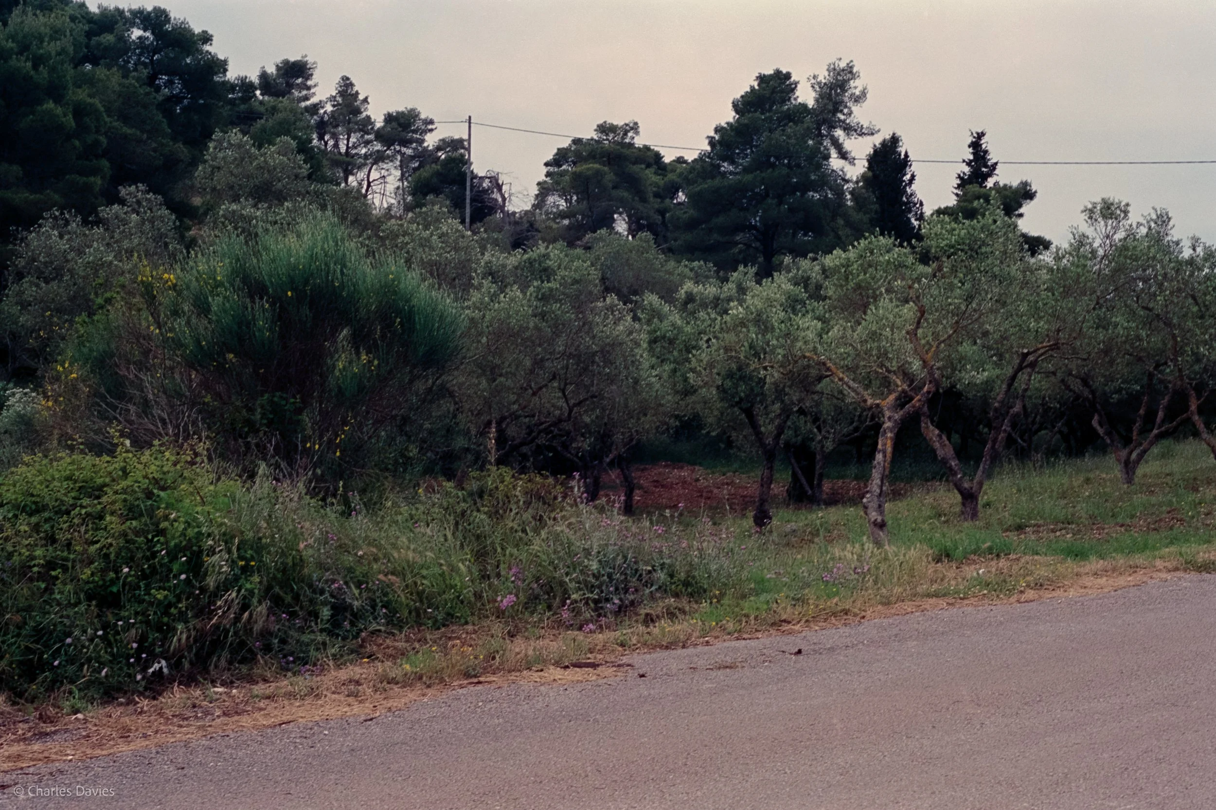 Image 23 - Aperture Priority 