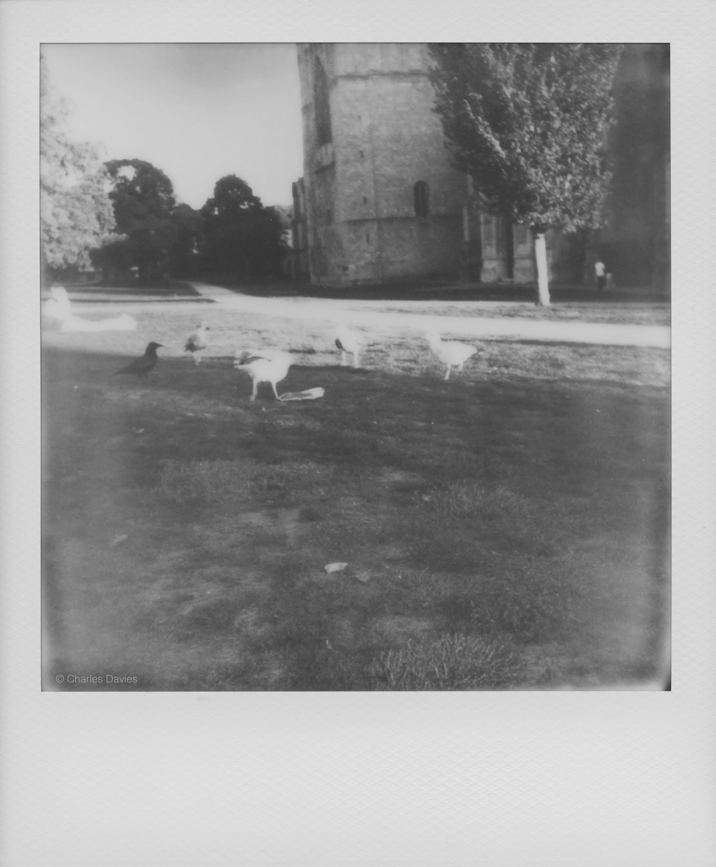 22 - 2022 - Polaroid Now.jpg