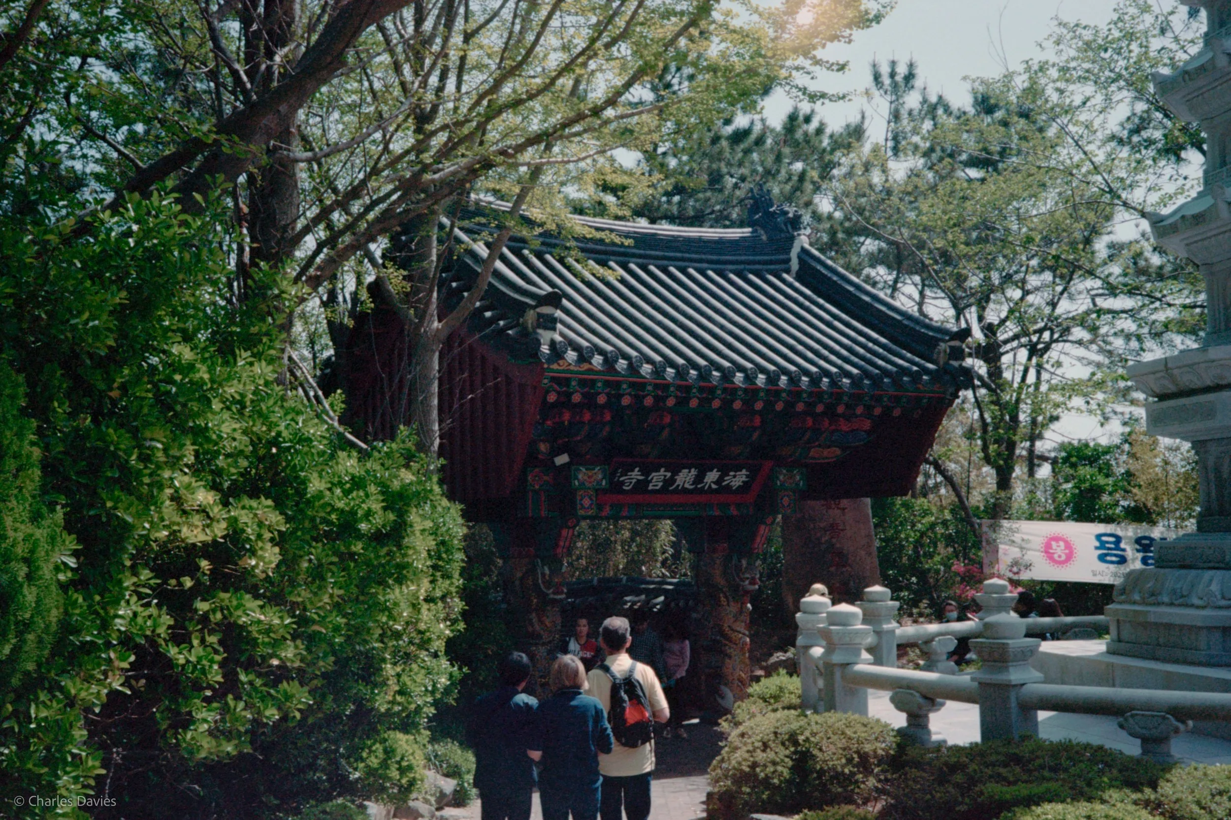Roll 6 - 2023 - South East Asia - South Korea - Busan - Kodak Portra 160 - Olympus 35DC - 35mm - Film - Colour 