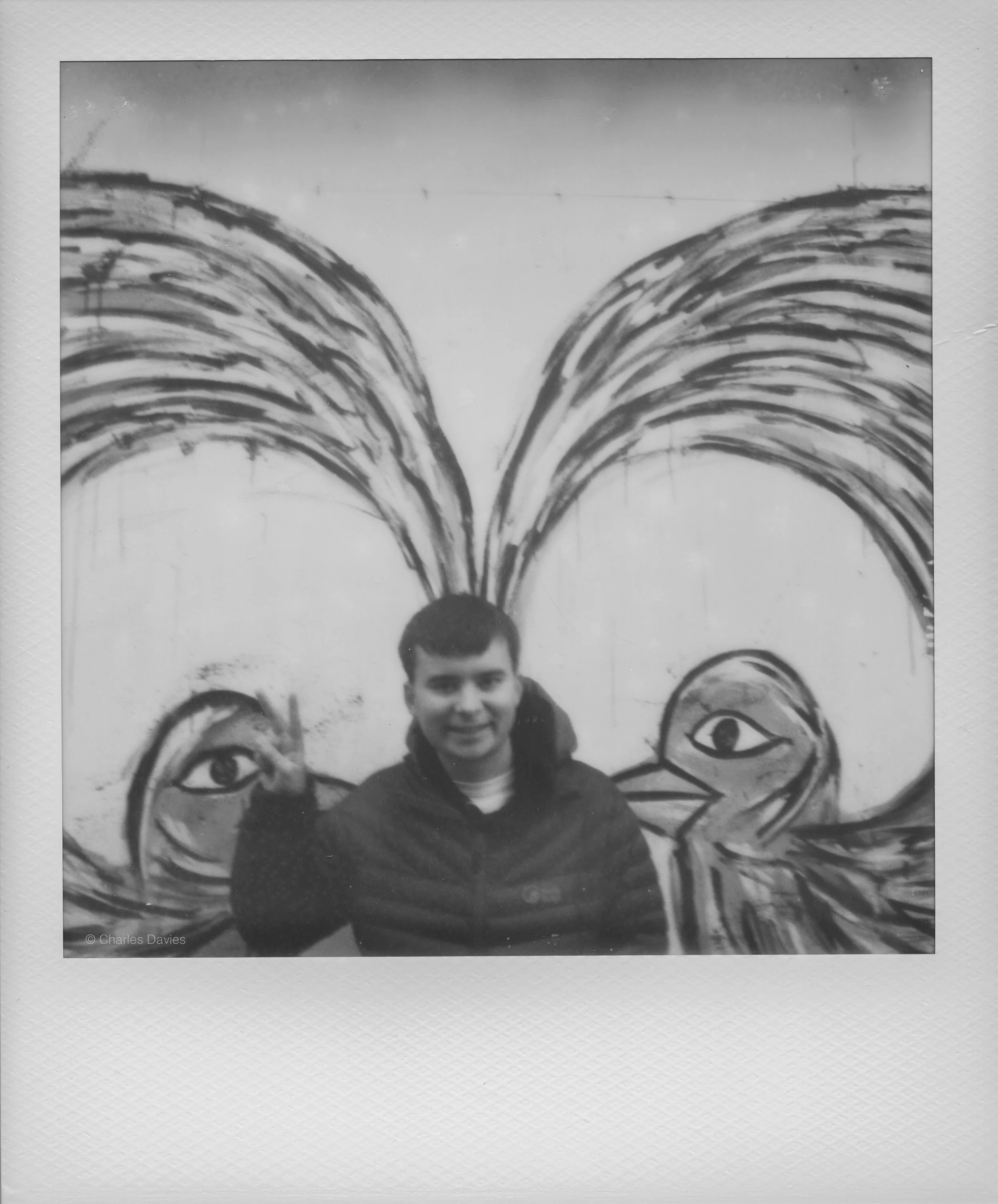 104 - 2022 - Polaroid SX-70.jpg