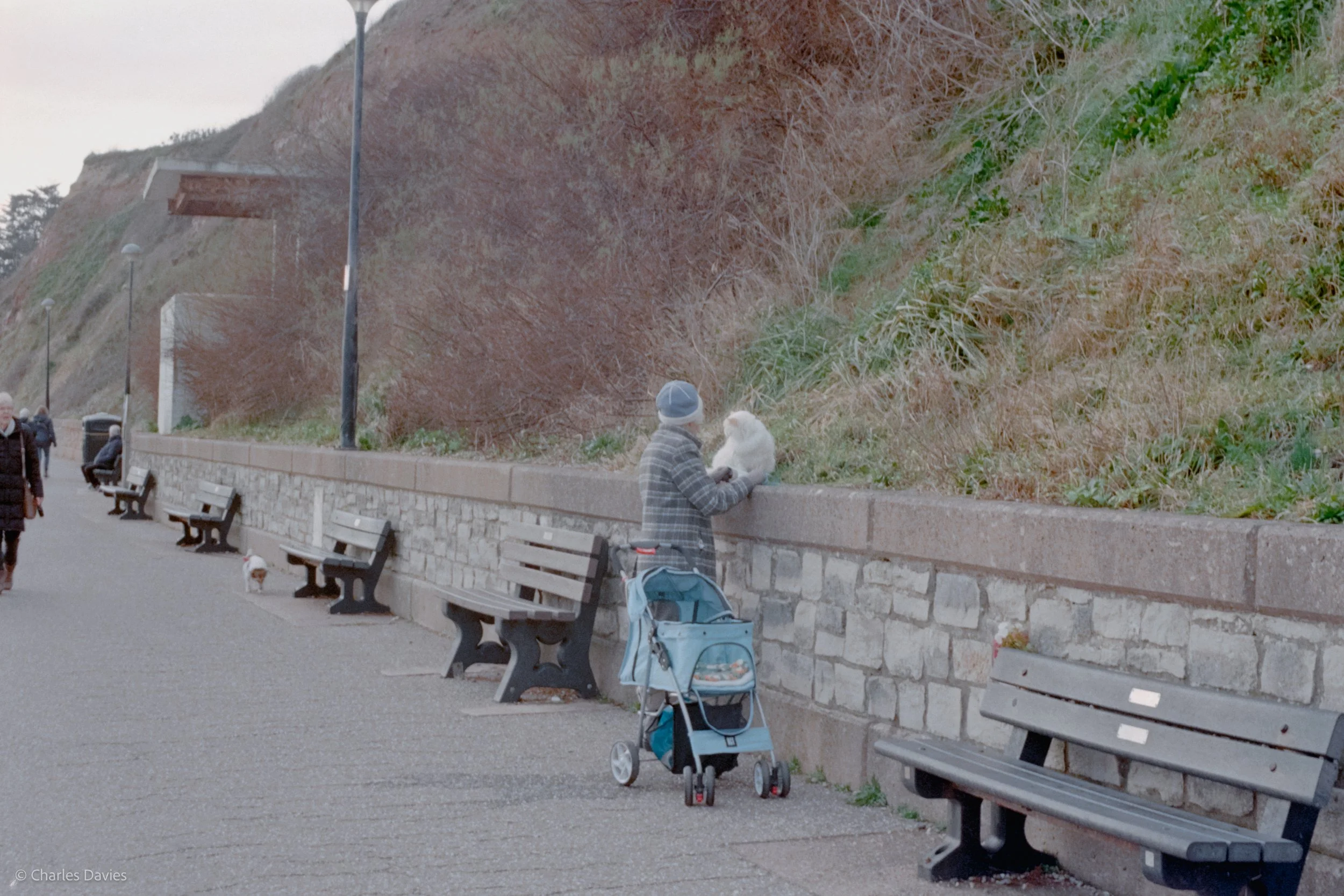 Roll 18 - 2025 - Europe - United Kingdom - Seaton - Kodak UltraMax 400 - Contax RTS - 35mm - Film - Colour 