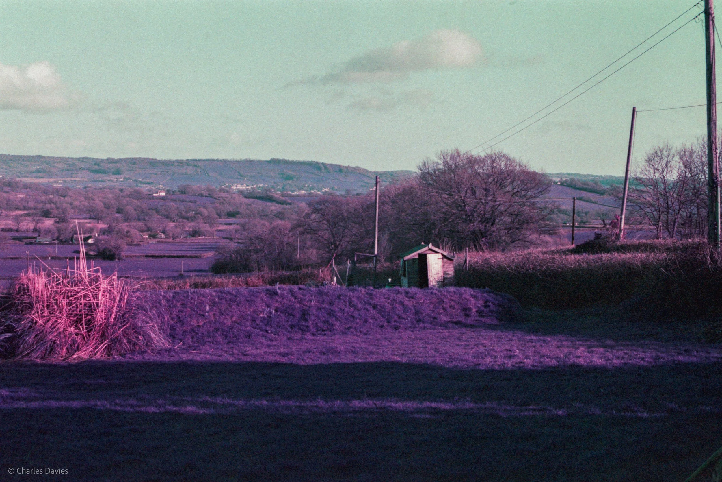 Roll 24 - 2025 - Europe - United Kingdom - Exeter - Lomo Purple - Contax RTS - 35mm - Film - Colour