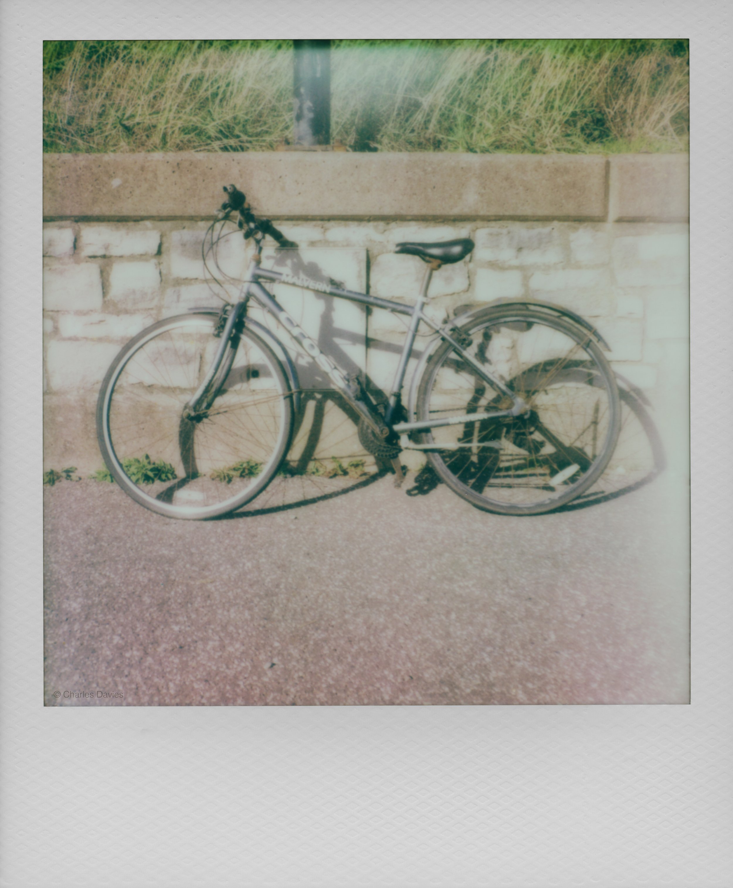 92 - 2025 - Polaroid SX-70 Sonar.jpg