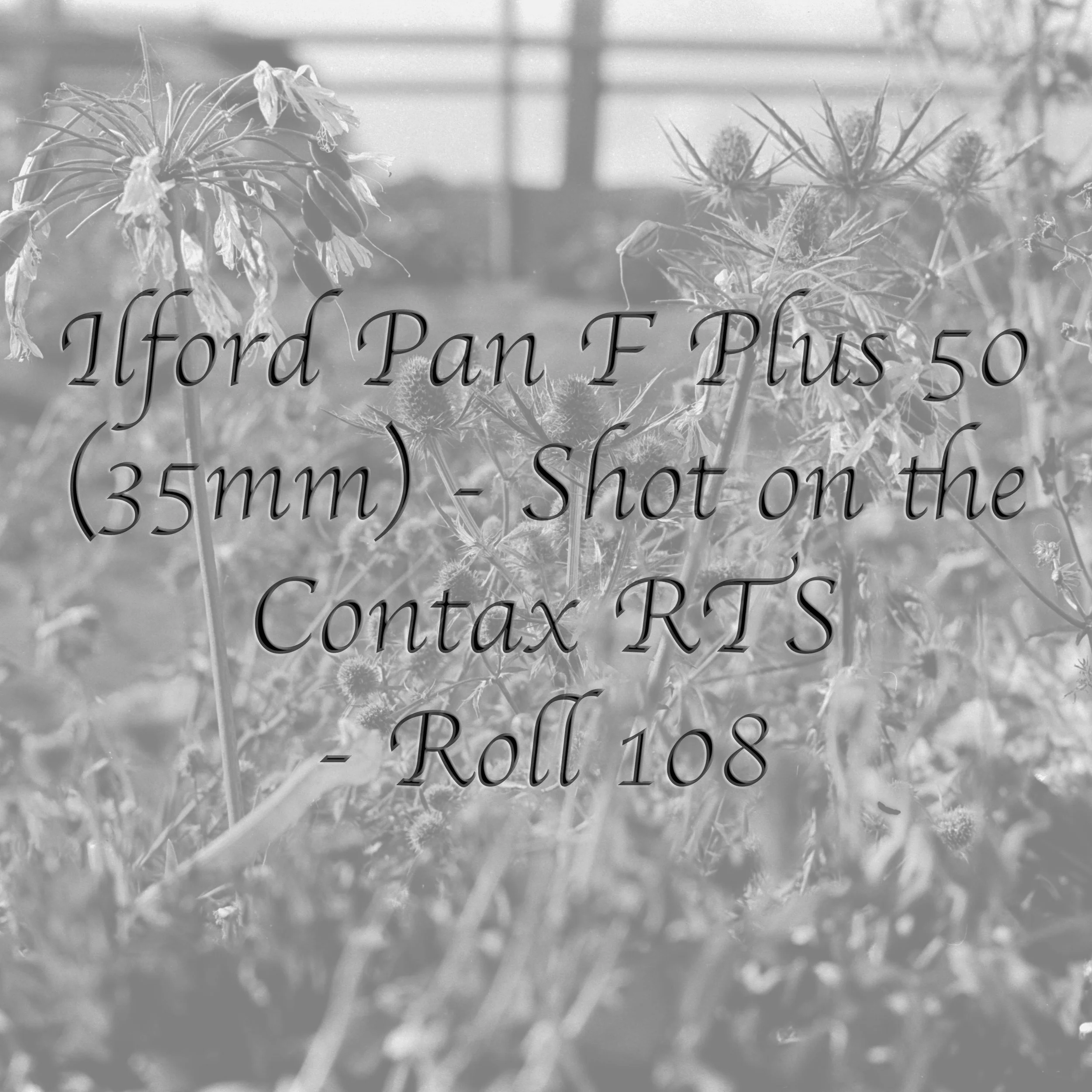 Ilford Pan F Plus 50 (35mm) - Roll 108