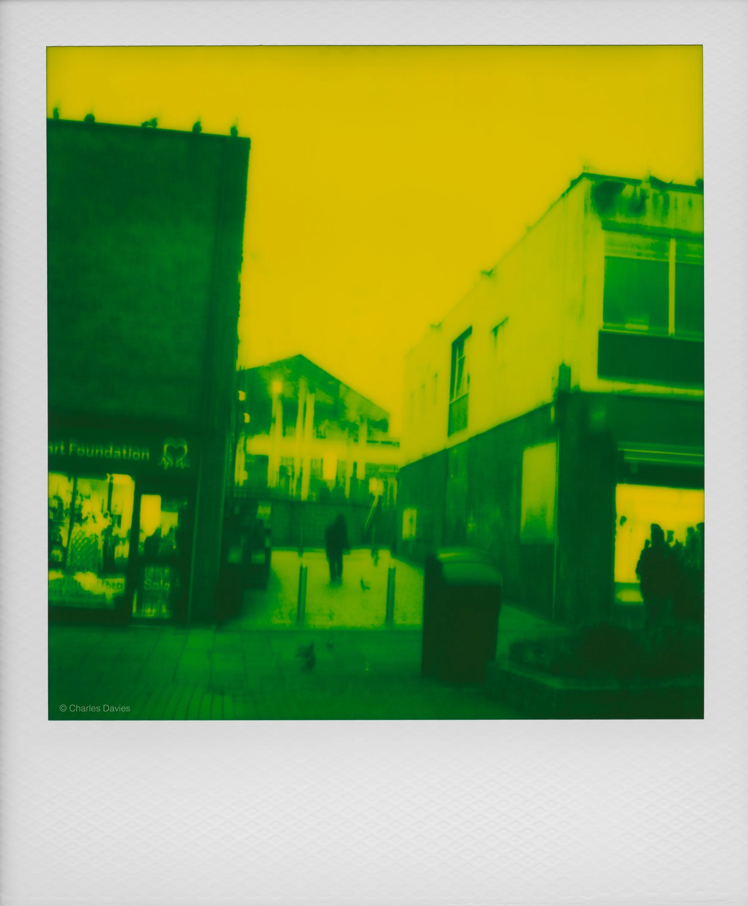 33 - 2025 - Polaroid SX-70 Sonar.jpg