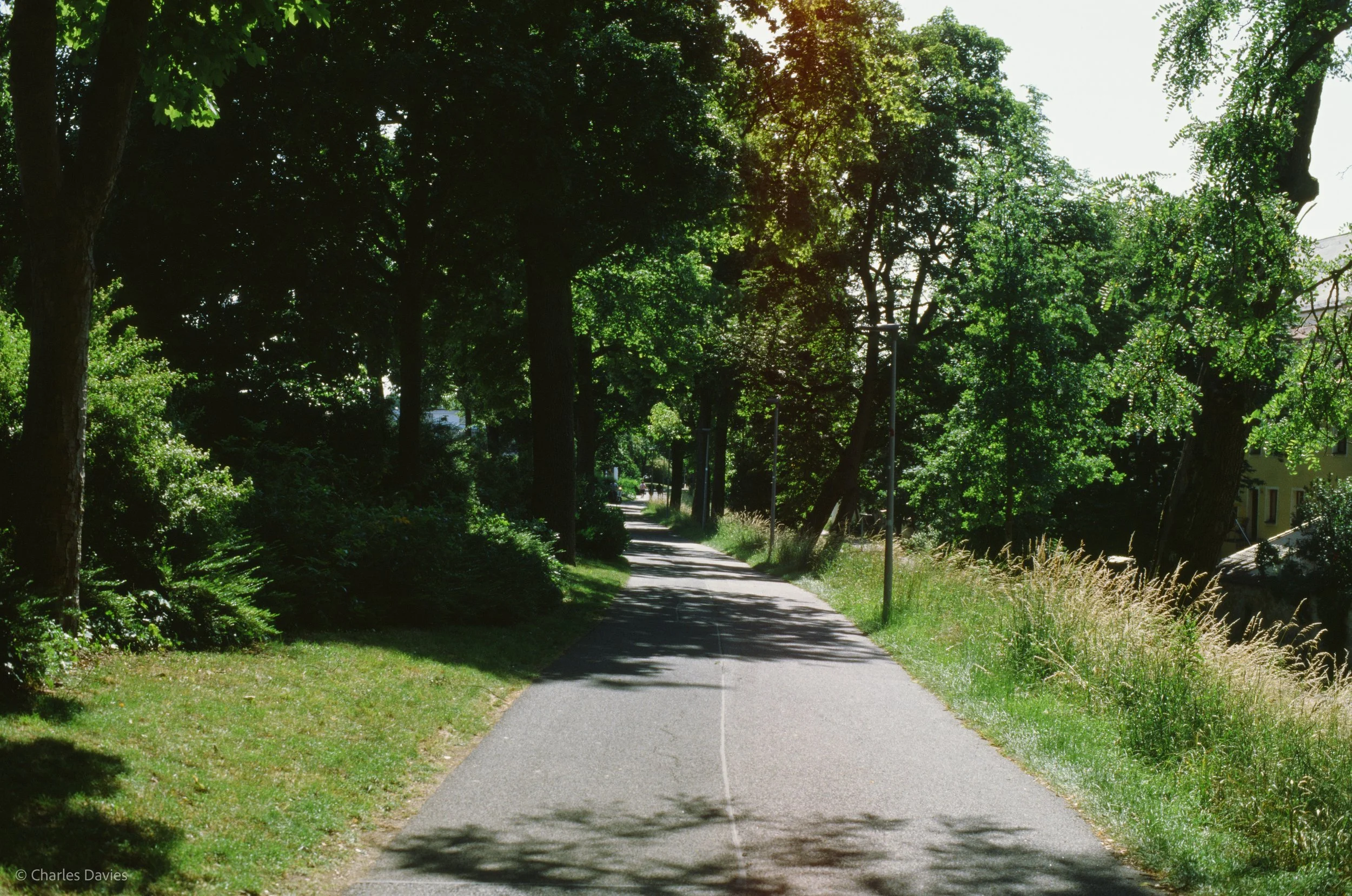 Roll 39 - 2025 - Europe - Germany - Amberg - Kodak Ektachrome 100 - Contax RTS - 35mm - Film - Colour - Colour Reversal/Slide Film