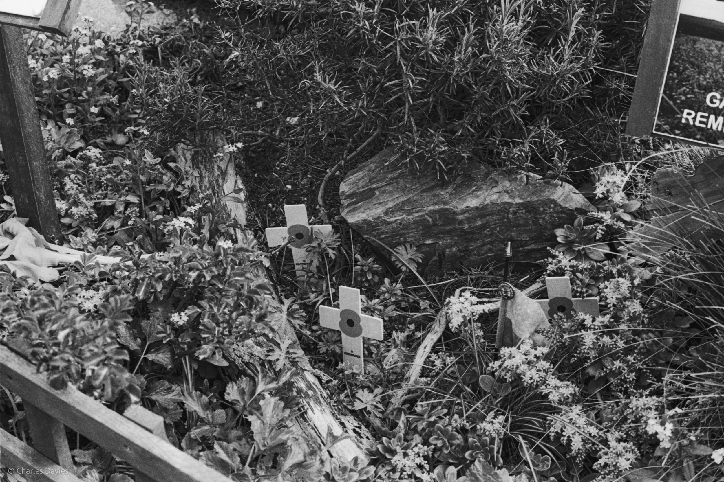 Roll 27 - 2025 - Europe - United Kingdom - Beer - Ilford HP5 Plus 400 - Contax RTS - 35mm - Film - B&W 