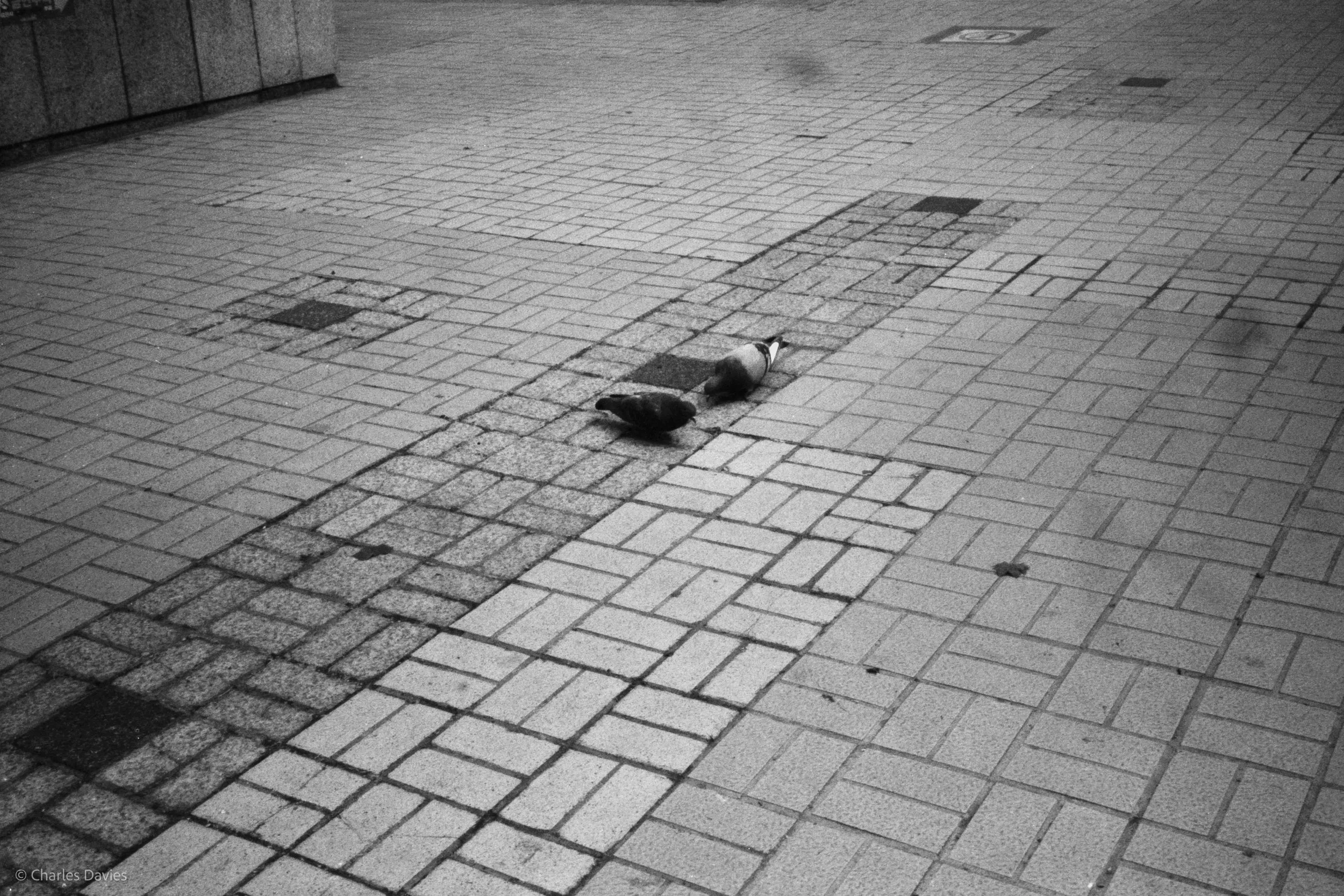 Roll 9 - 2023 - South East Asia - South Korea - Seoul - Kentmere Pan 400 - Olympus 35DC - 35mm - Film - B&W 