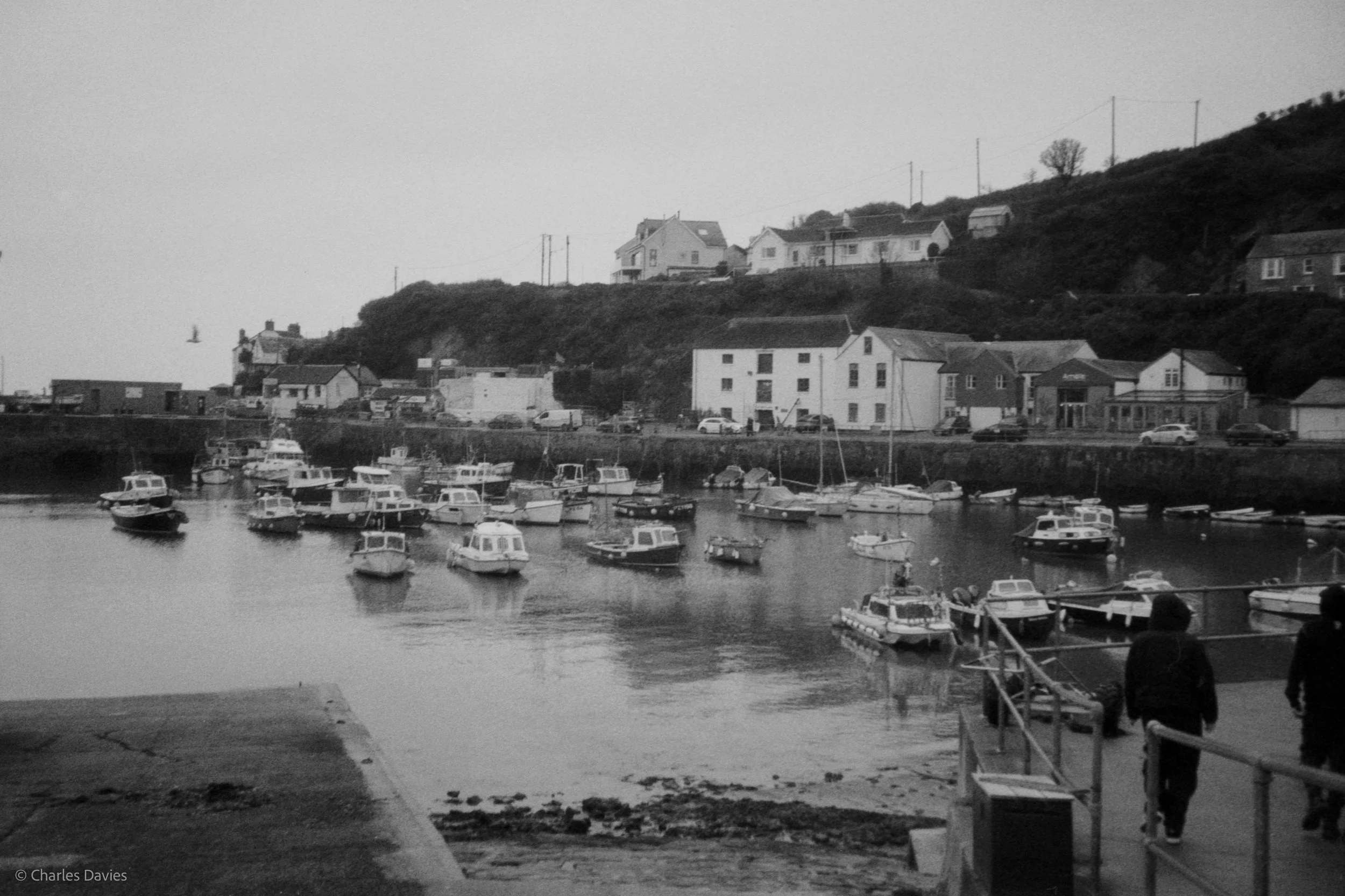 Image-8.jpg
