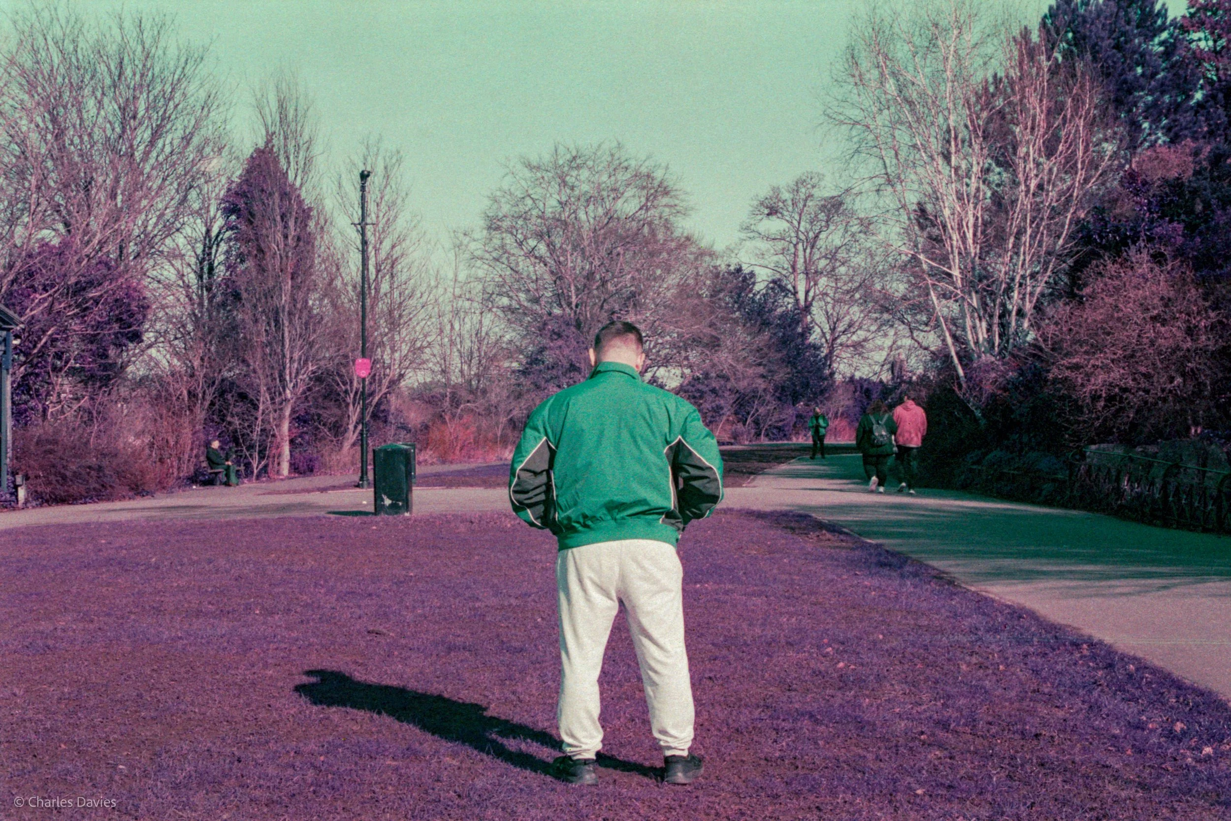 Roll 24 - 2025 - Europe - United Kingdom - Exeter - Lomo Purple - Contax RTS - 35mm - Film - Colour