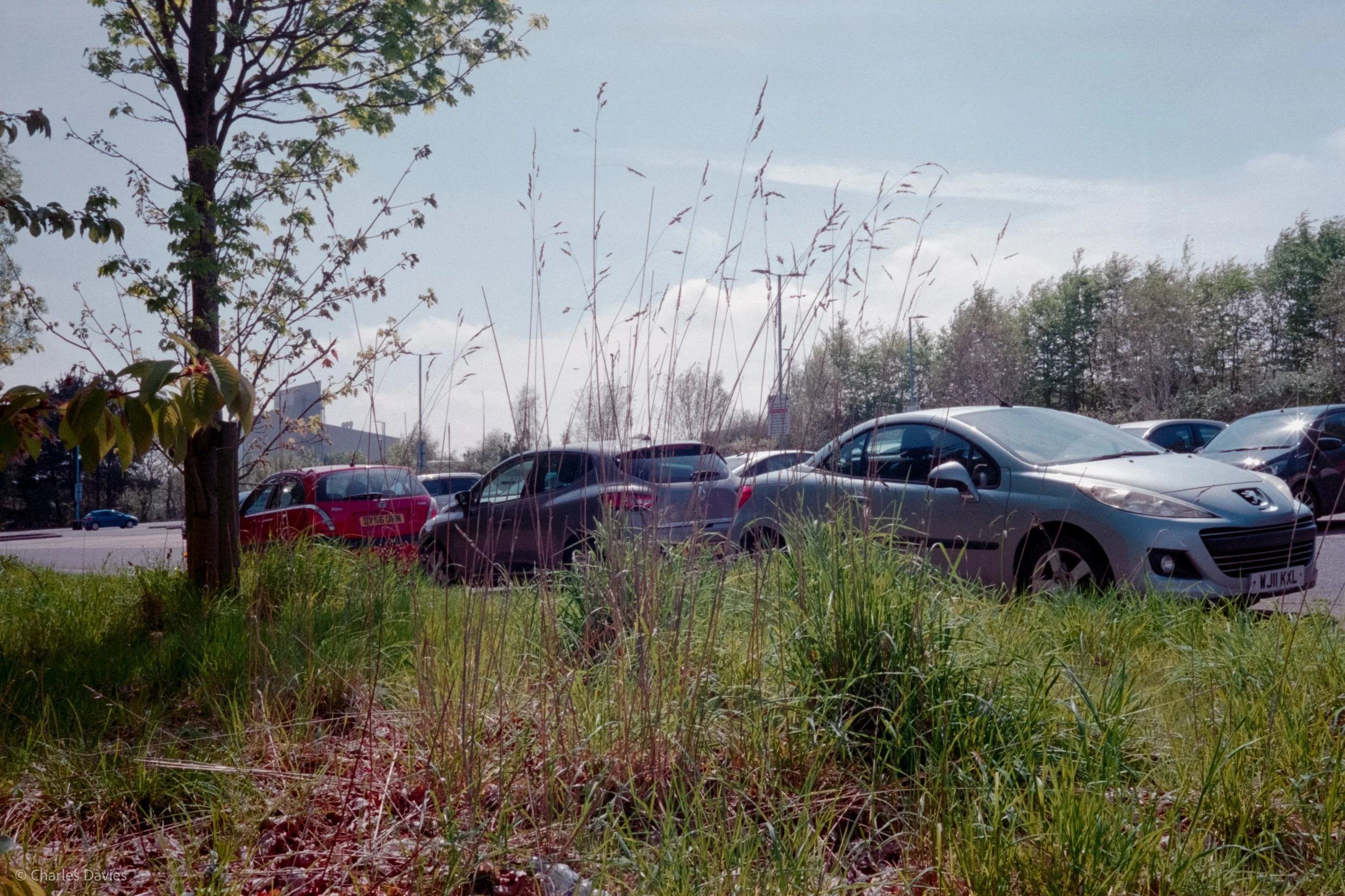 Roll 10 - 2023 - Europe - United Kingdom - Exeter - Kodak UltraMax 400 - Olympus 35DC - 35mm - Film - Colour 