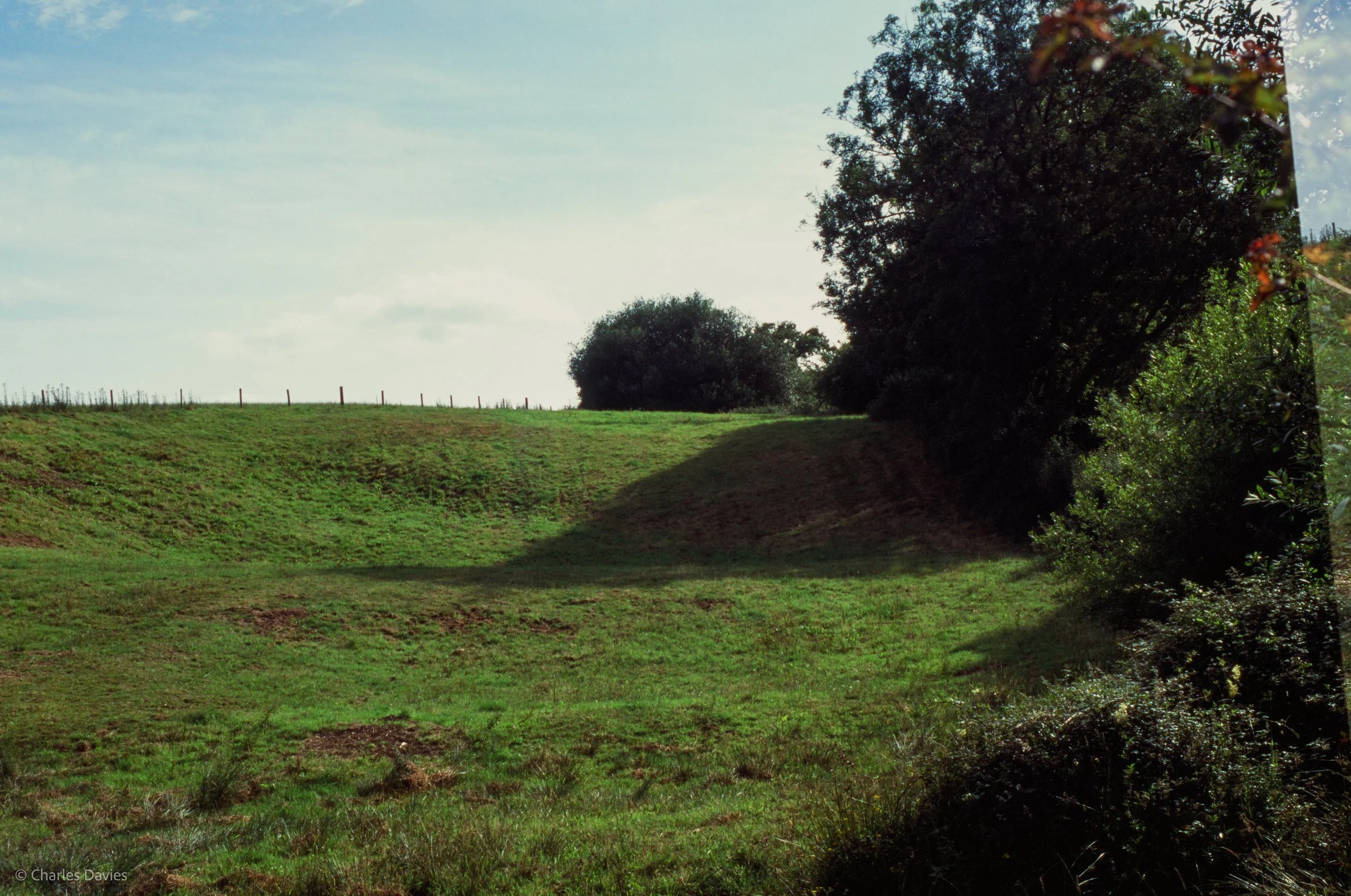 Roll 41 - 2025 - Europe - United Kingdom - Shute - Fujifilm Velvia 100 - Contax RTS - 35mm - Film - Colour - Colour Reversal/Slide Film