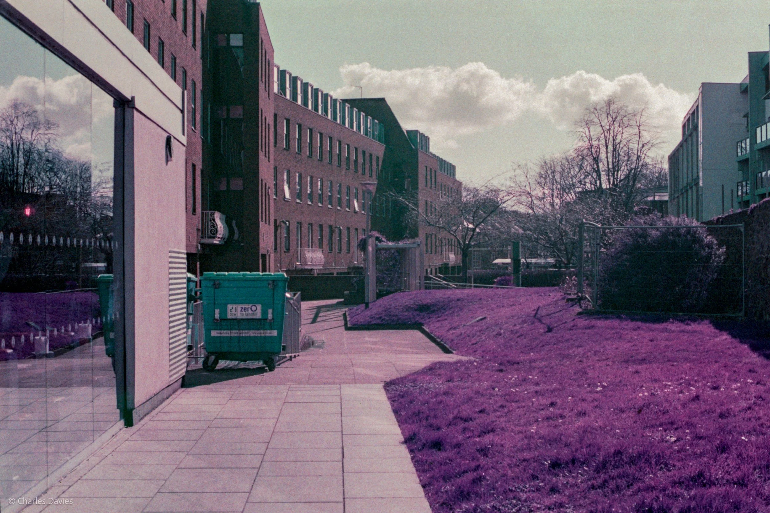 Roll 24 - 2025 - Europe - United Kingdom - Shute - Lomo Purple - Contax RTS - 35mm - Film - Colour