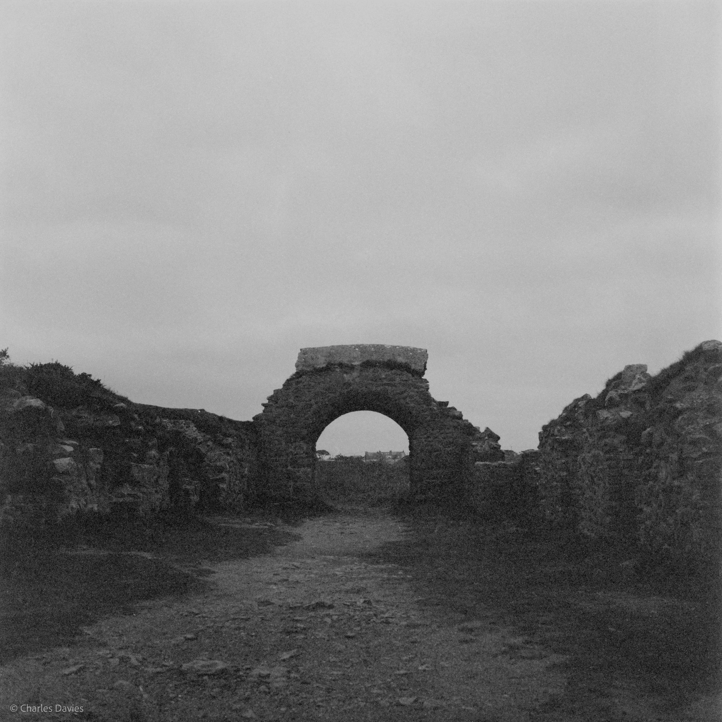 Image-10.jpg