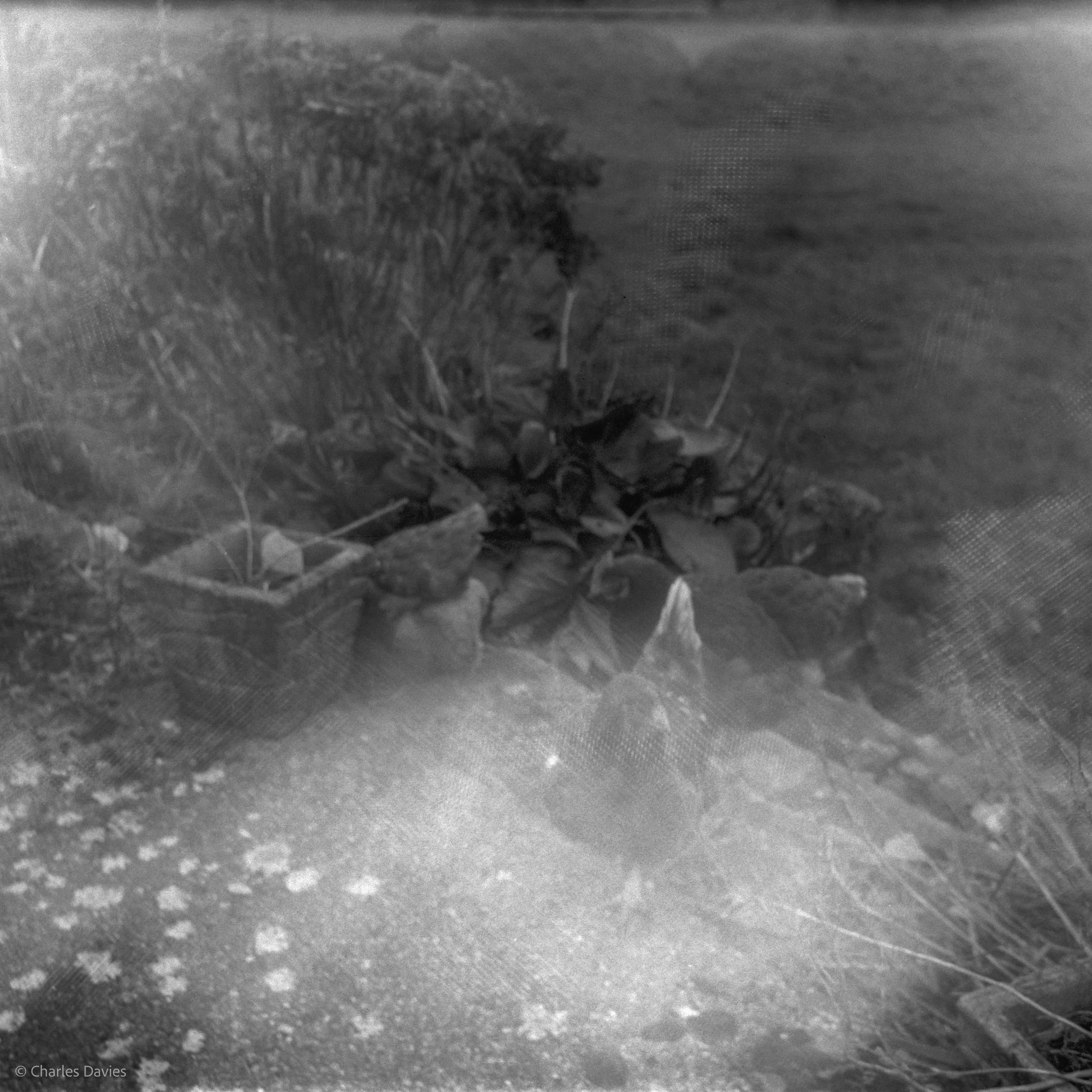 Roll 23 - 2025 - Europe - United Kingdom - Shute - Ilford HP5 Plus 400 - Agfa Isola - 120 Medium Format - Film - B&W
