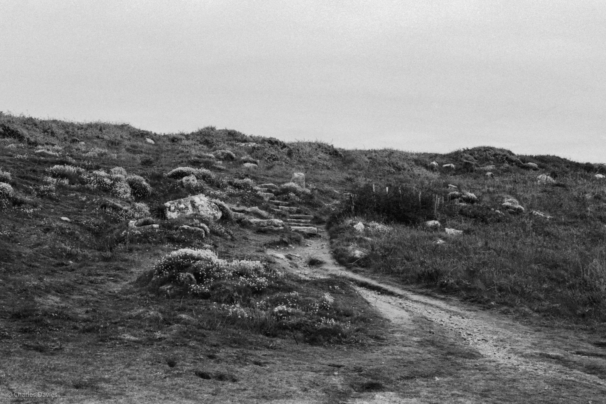 Roll 35 - 2025 - Europe - United Kingdom - Land's End - Fomapan 200 - Contax RTS - 35mm - Film - B&W