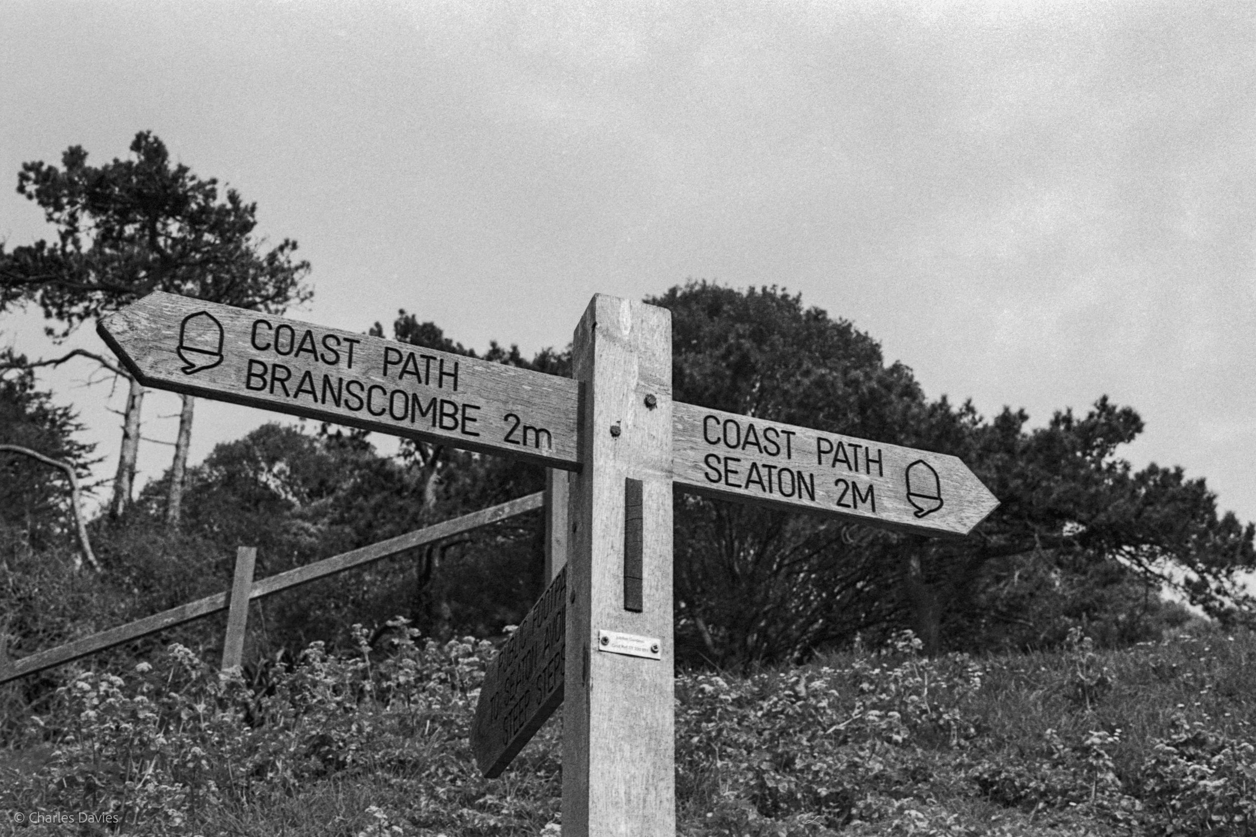 Roll 27 - 2025 - Europe - United Kingdom - Beer - Ilford HP5 Plus 400 - Contax RTS - 35mm - Film - B&W 