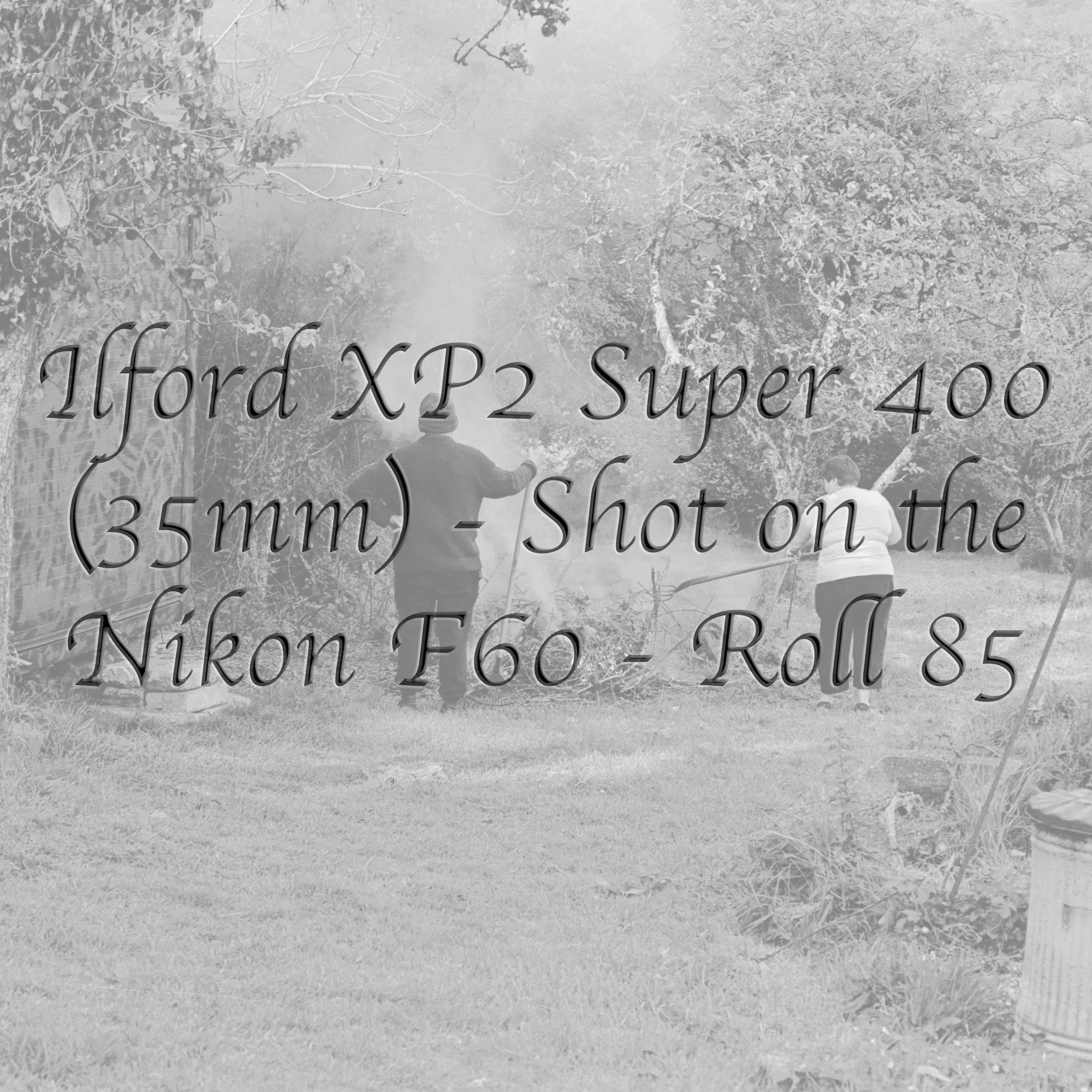 Ilford XP2 Super 400 (35mm) - Roll 85