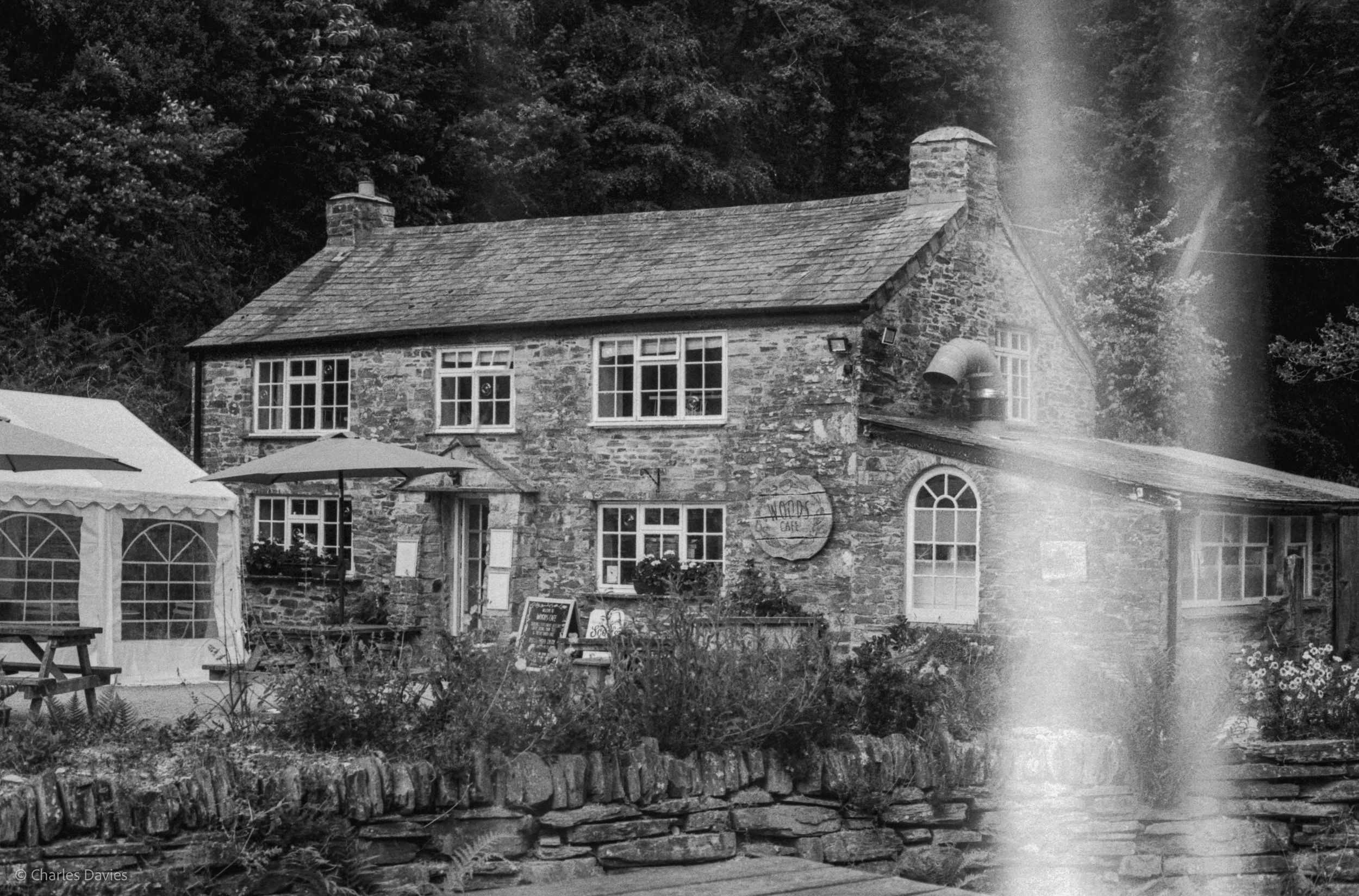 Roll 31 - 2025 - Europe - United Kingdom - Cardinham - Fomapan 400 - Contax RTS - 35mm - Film - B&W
