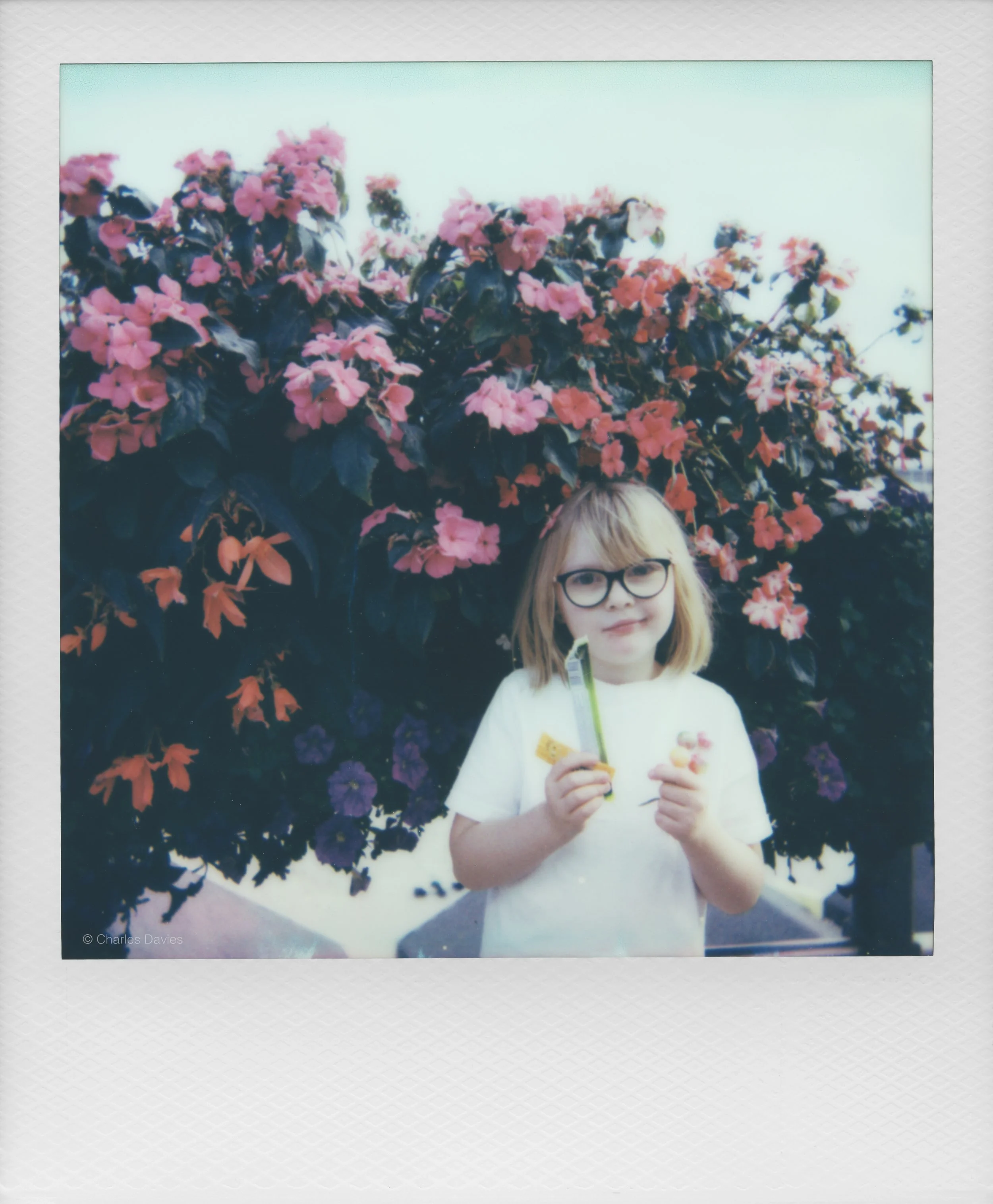 86 - 2025 - Polaroid Autofocus 660.jpg