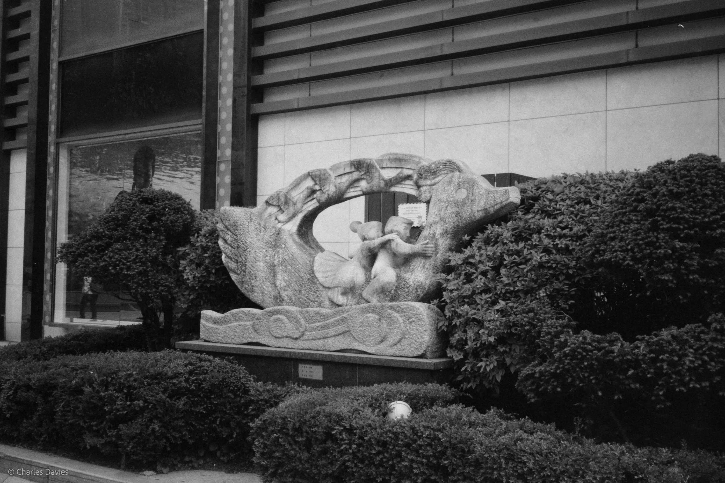 Roll 9 - 2023 - South East Asia - South Korea - Seoul - Kentmere Pan 400 - Olympus 35DC - 35mm - Film - B&W 