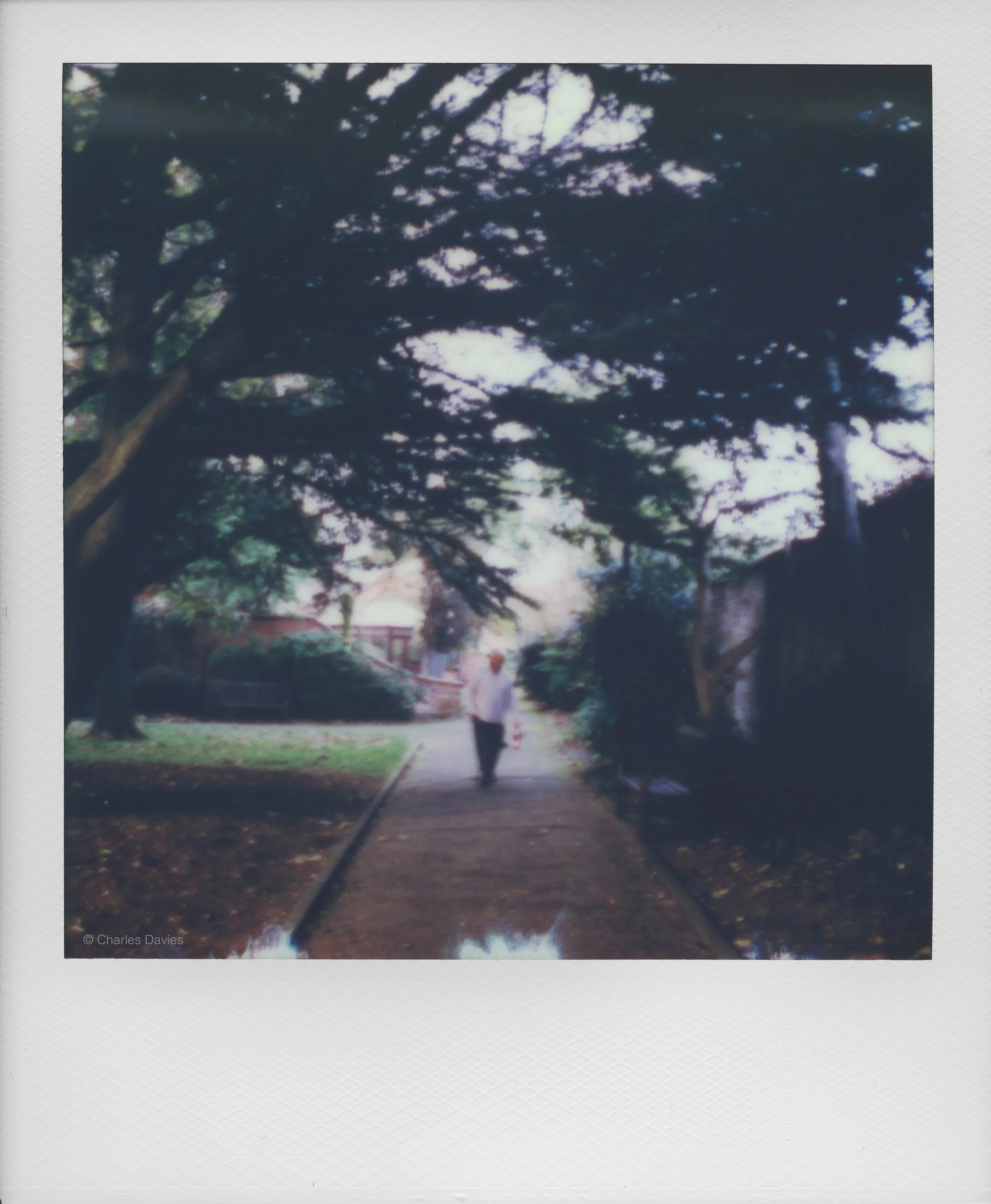 67 - 2022 - Polaroid SX-70.jpg