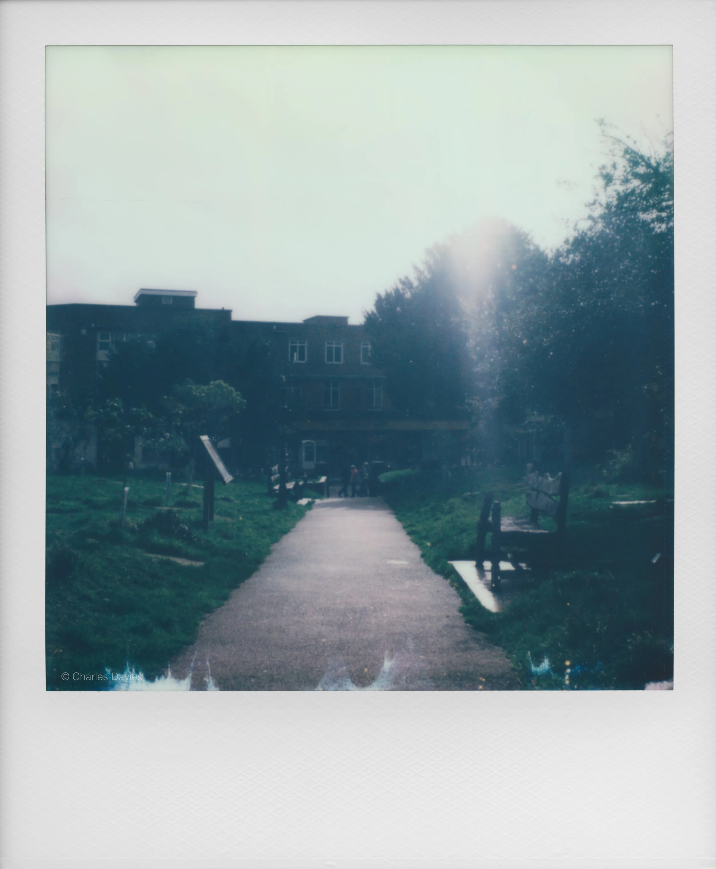52 - 2022 - Polaroid SX-70.jpg
