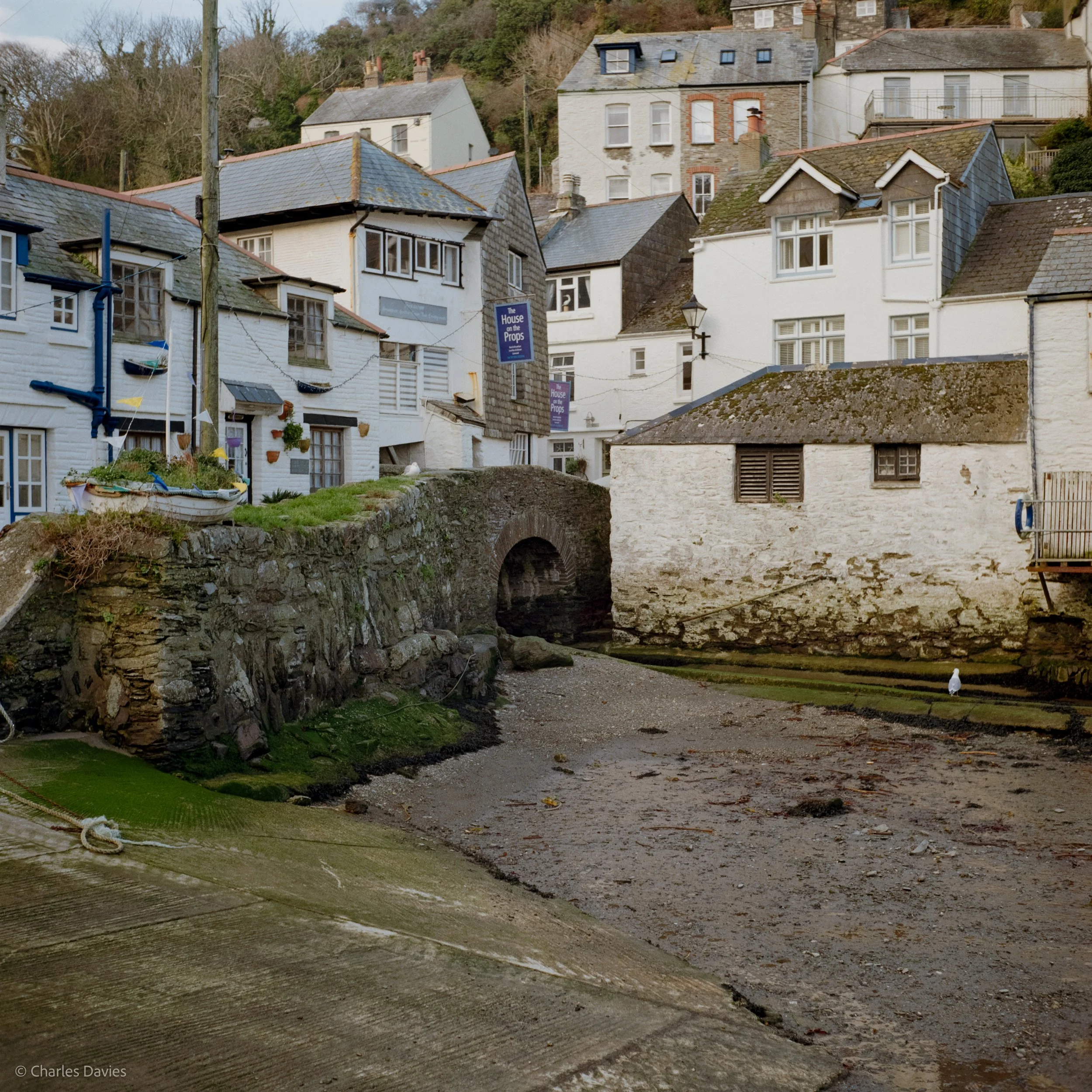 Image-5.jpg