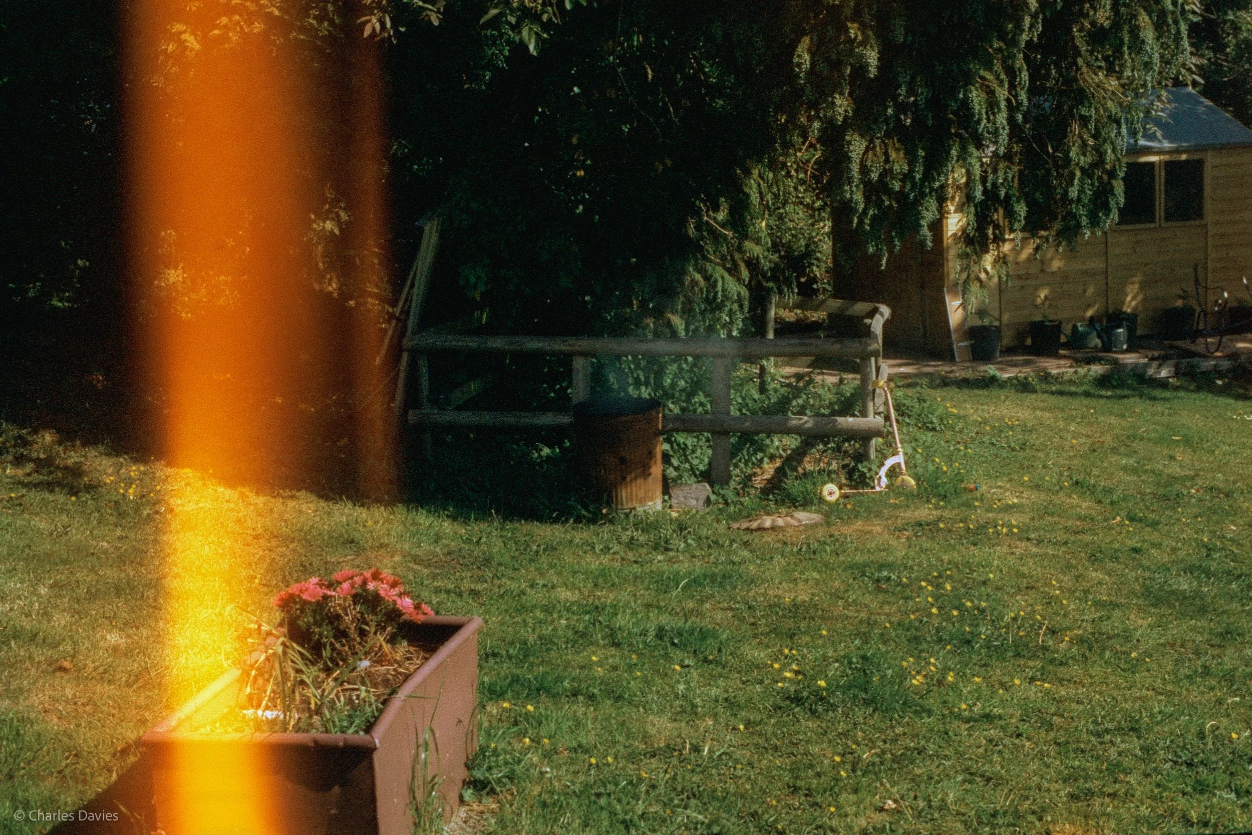 Roll 30 - 2025 - Europe - United Kingdom - Shute - Harman Phoenix 200 - Contax RTS - 35mm - Film - Colour