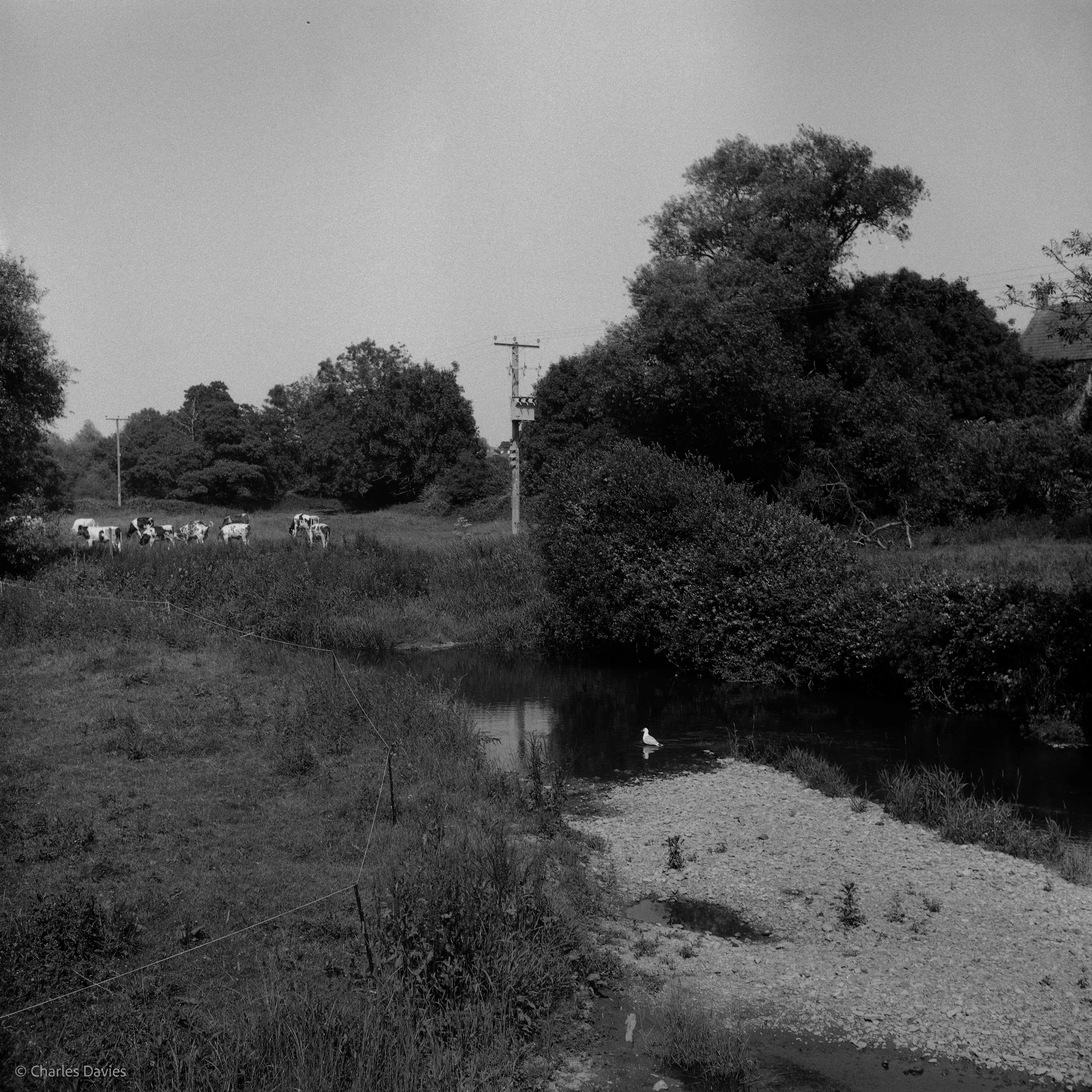 Shot 11 - F/8 + 1/125th - Axminster 
