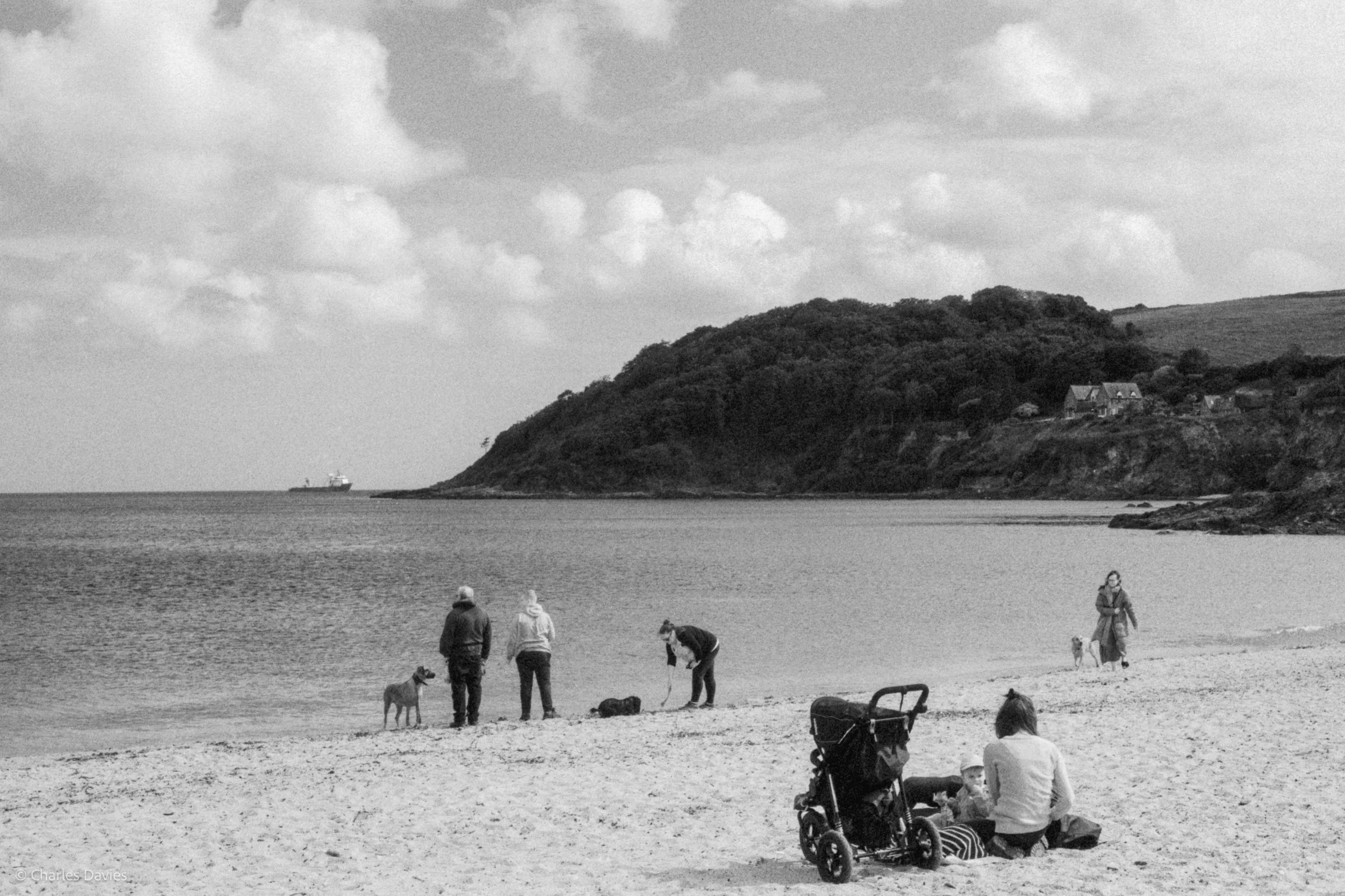 Roll 33 - 2025 - Europe - United Kingdom - Swanpool - Kentmere Pan 400 - Contax RTS - 35mm - Film - B&W