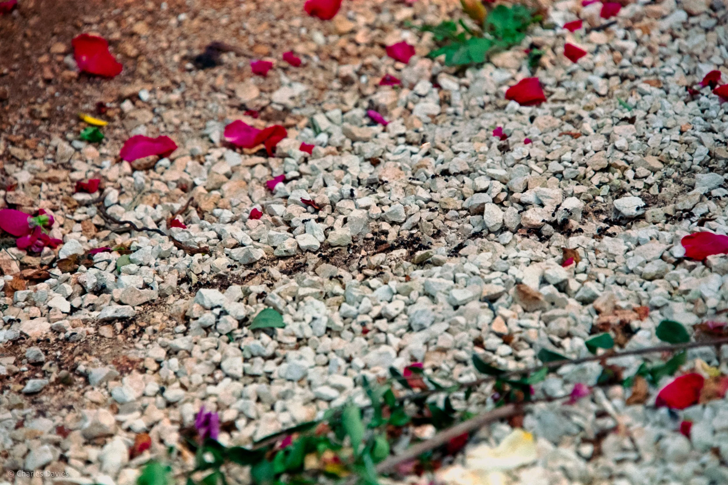  Image 2 - Aperture Priority 