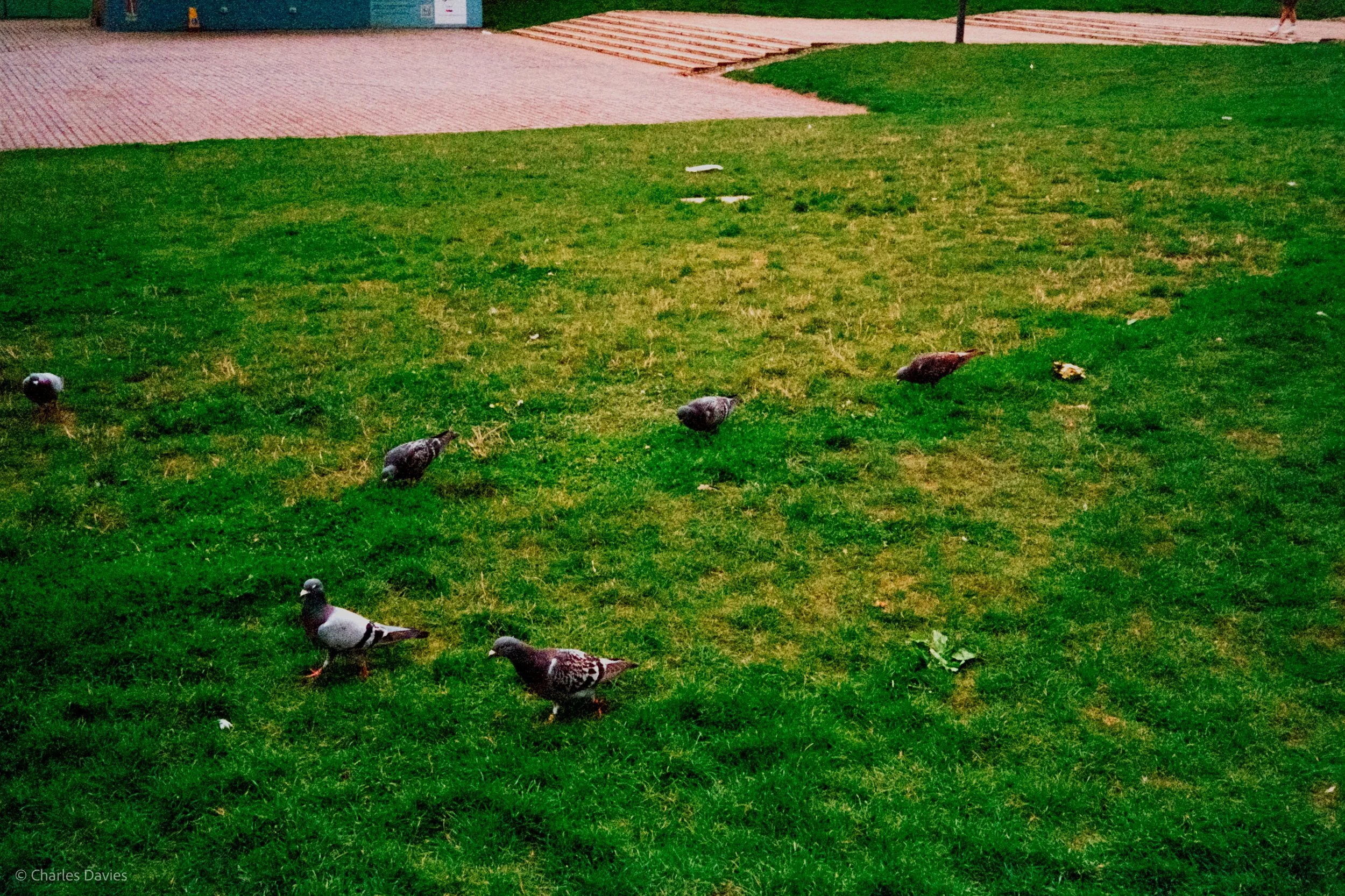 Roll 12 - 2023 - Europe - United Kingdom - Exeter - Kodak UltraMax 400 - Olympus 35DC - 35mm - Film - Colour 