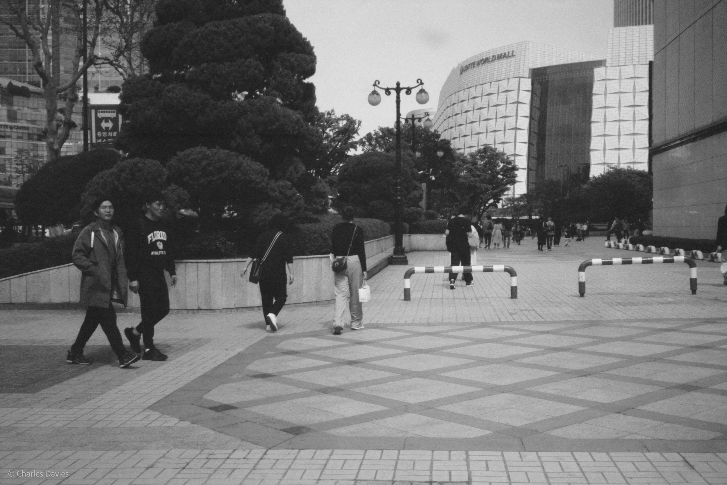 Roll 9 - 2023 - South East Asia - South Korea - Seoul - Kentmere Pan 400 - Olympus 35DC - 35mm - Film - B&W 
