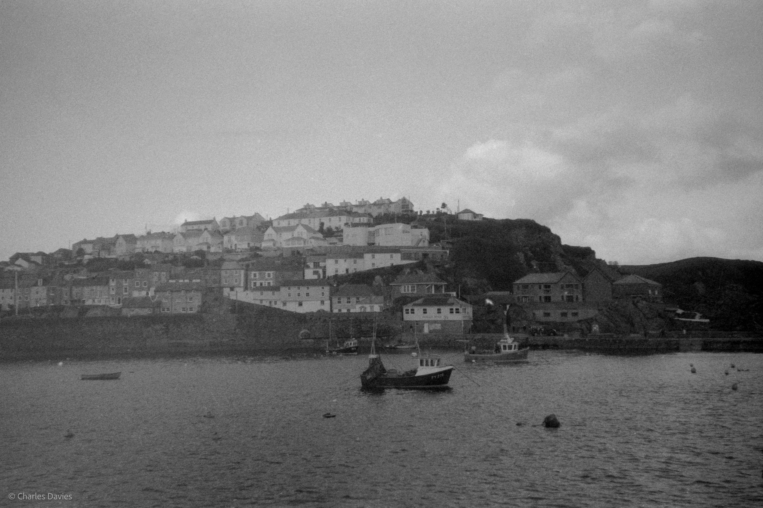 Image-11.jpg