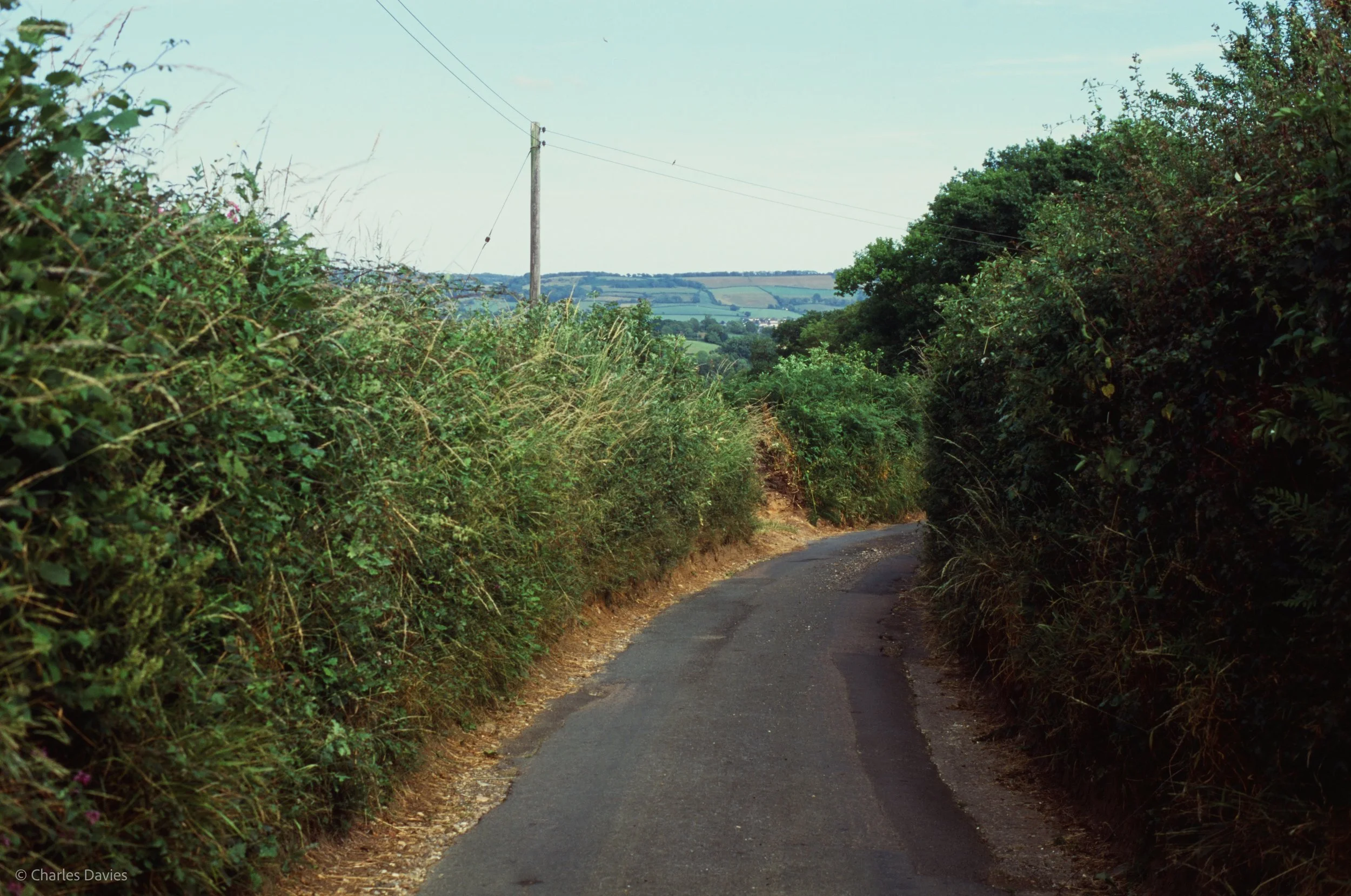 Roll 41 - 2025 - Europe - United Kingdom - Shute - Fujifilm Velvia 100 - Contax RTS - 35mm - Film - Colour - Colour Reversal/Slide Film