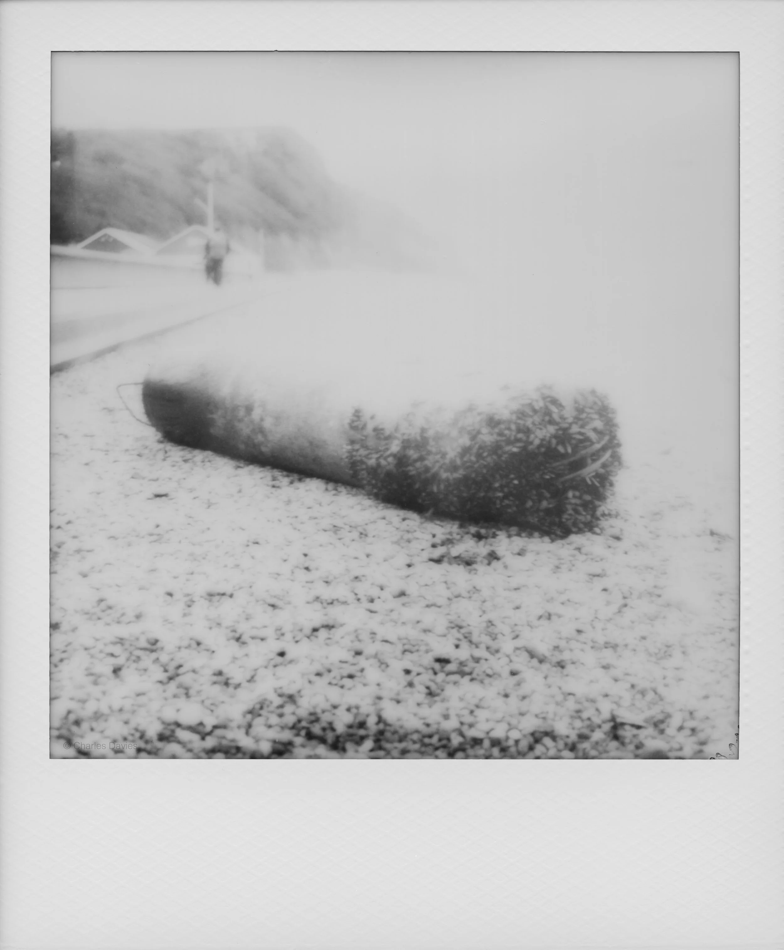22 - 2025 - Polaroid SX-70 Sonar.jpg