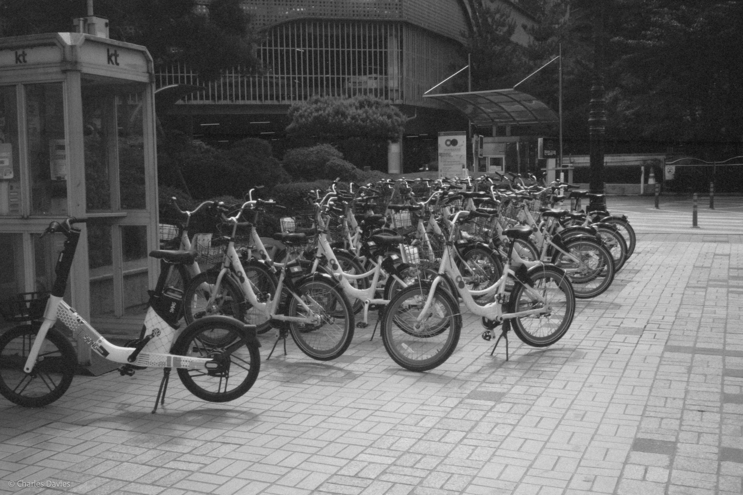 Roll 9 - 2023 - South East Asia - South Korea - Seoul - Kentmere Pan 400 - Olympus 35DC - 35mm - Film - B&W 