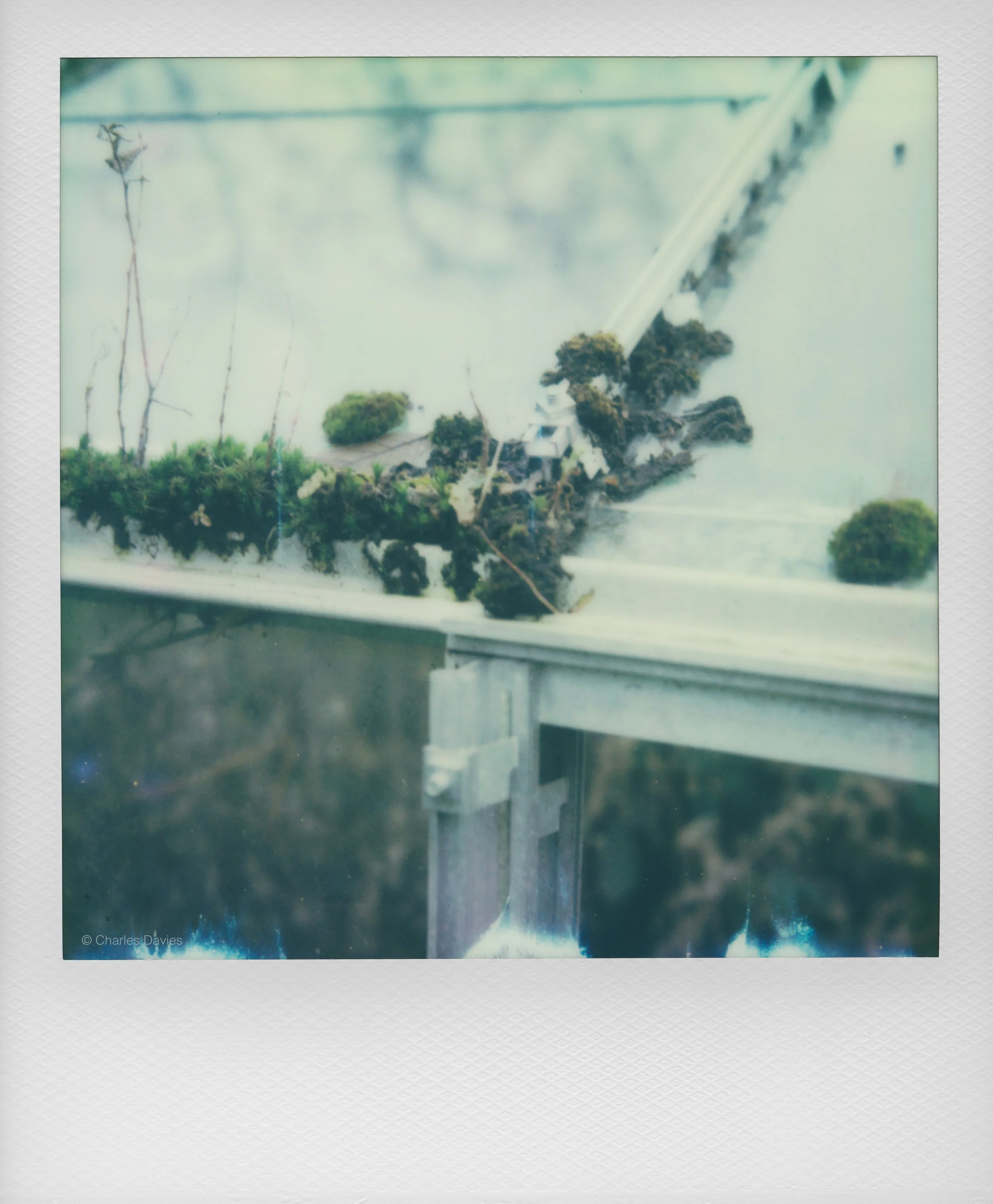 17 - 2023 - Polaroid SX-70 Sonar.jpg