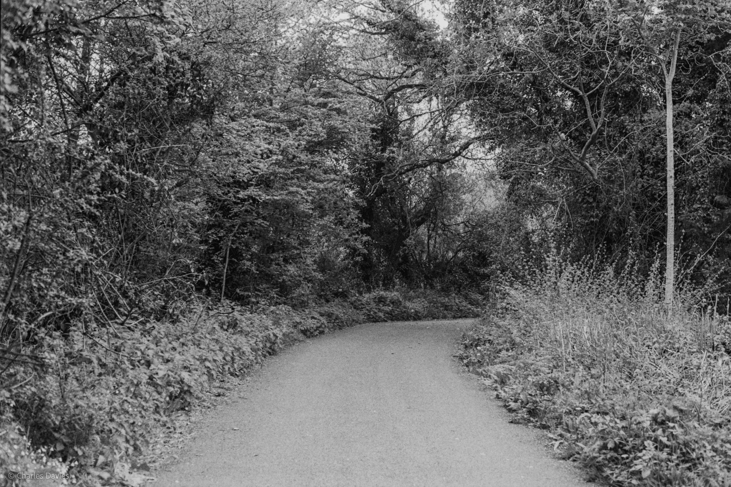 Roll 28 - 2025 - Europe - United Kingdom - Seaton - Kentmere Pan 400 - Minolta X-300 - 35mm - Film - B&W 