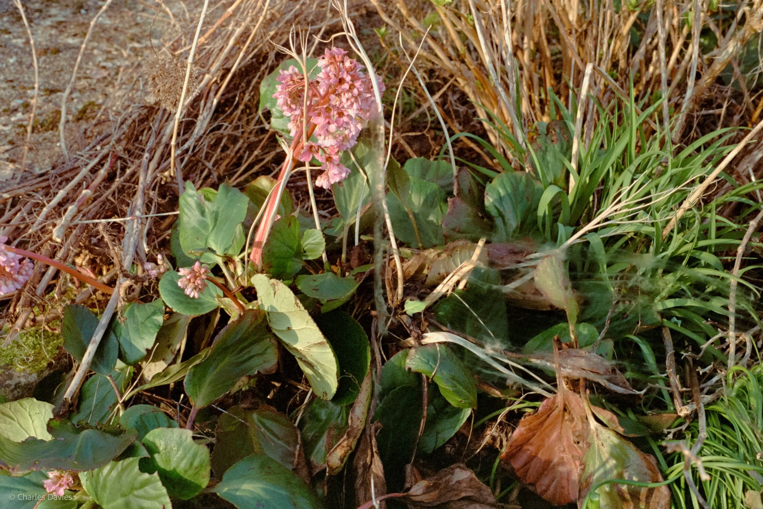 Shot 23 - F/8 + 1/250th - Home  