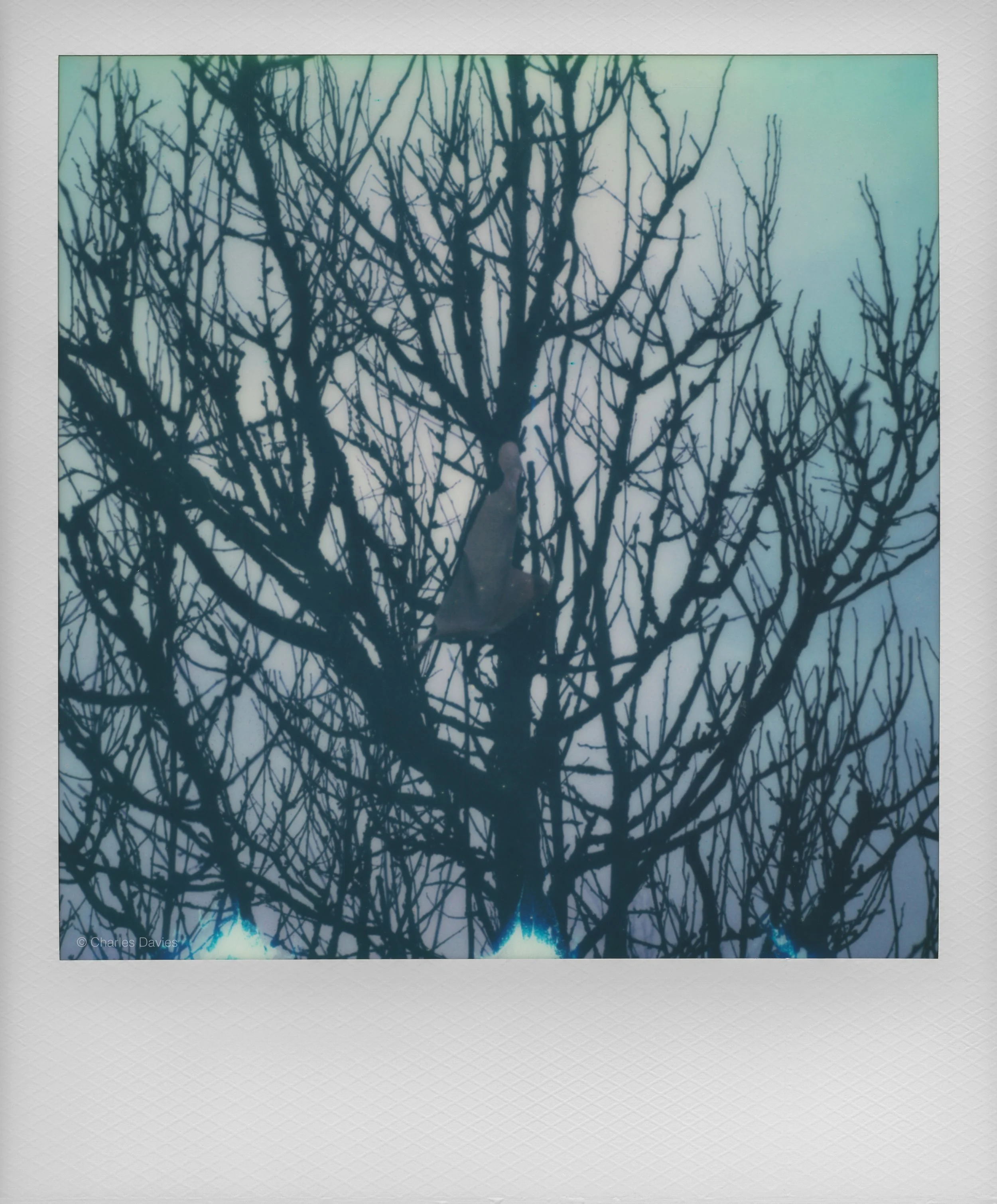 20 - 2023 - Polaroid SX-70.jpg