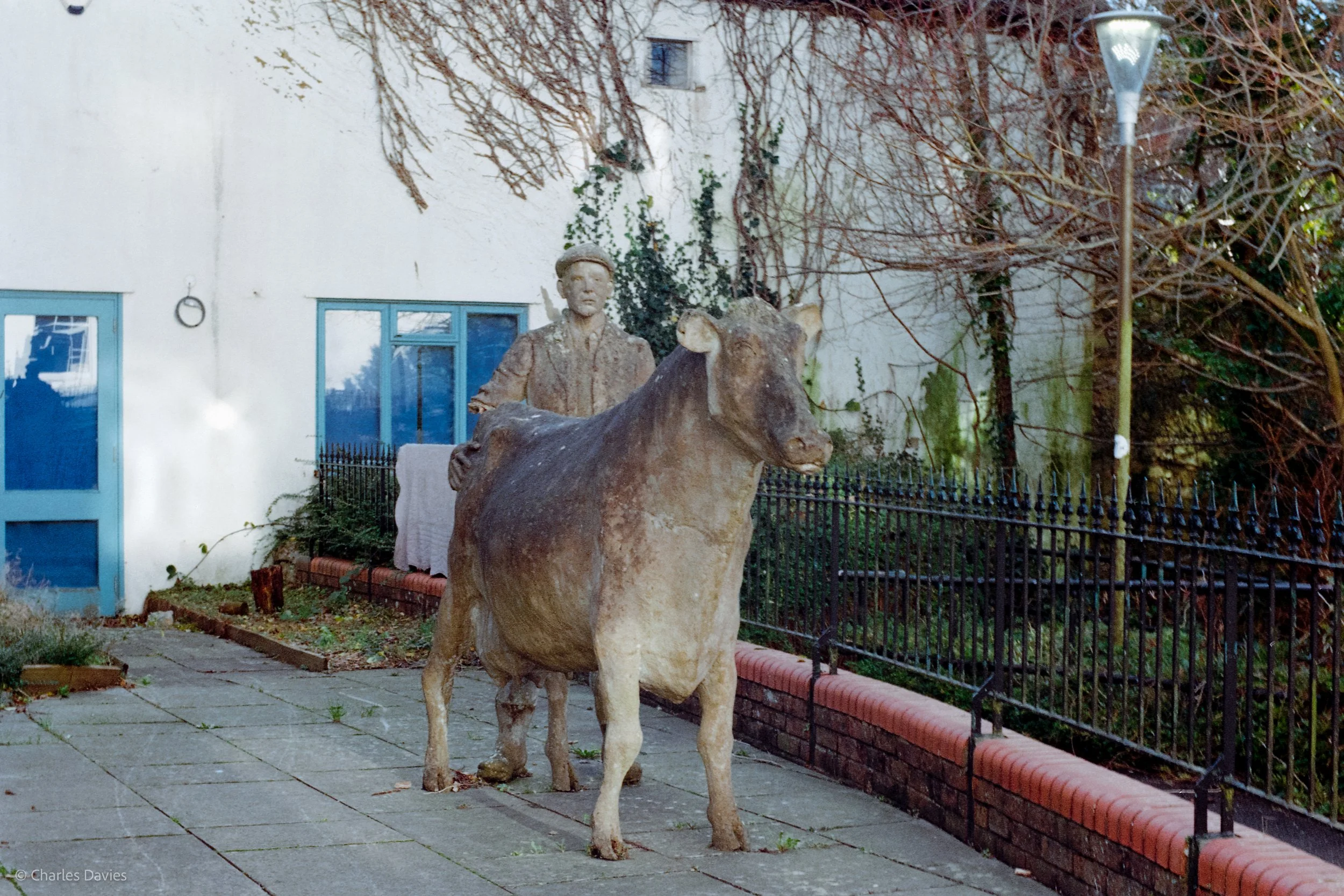 Roll 20 - 2025 - Europe - United Kingdom - Axminster - Kodak ColorPlus 200 - Contax RTS - 35mm - Film - Colour 