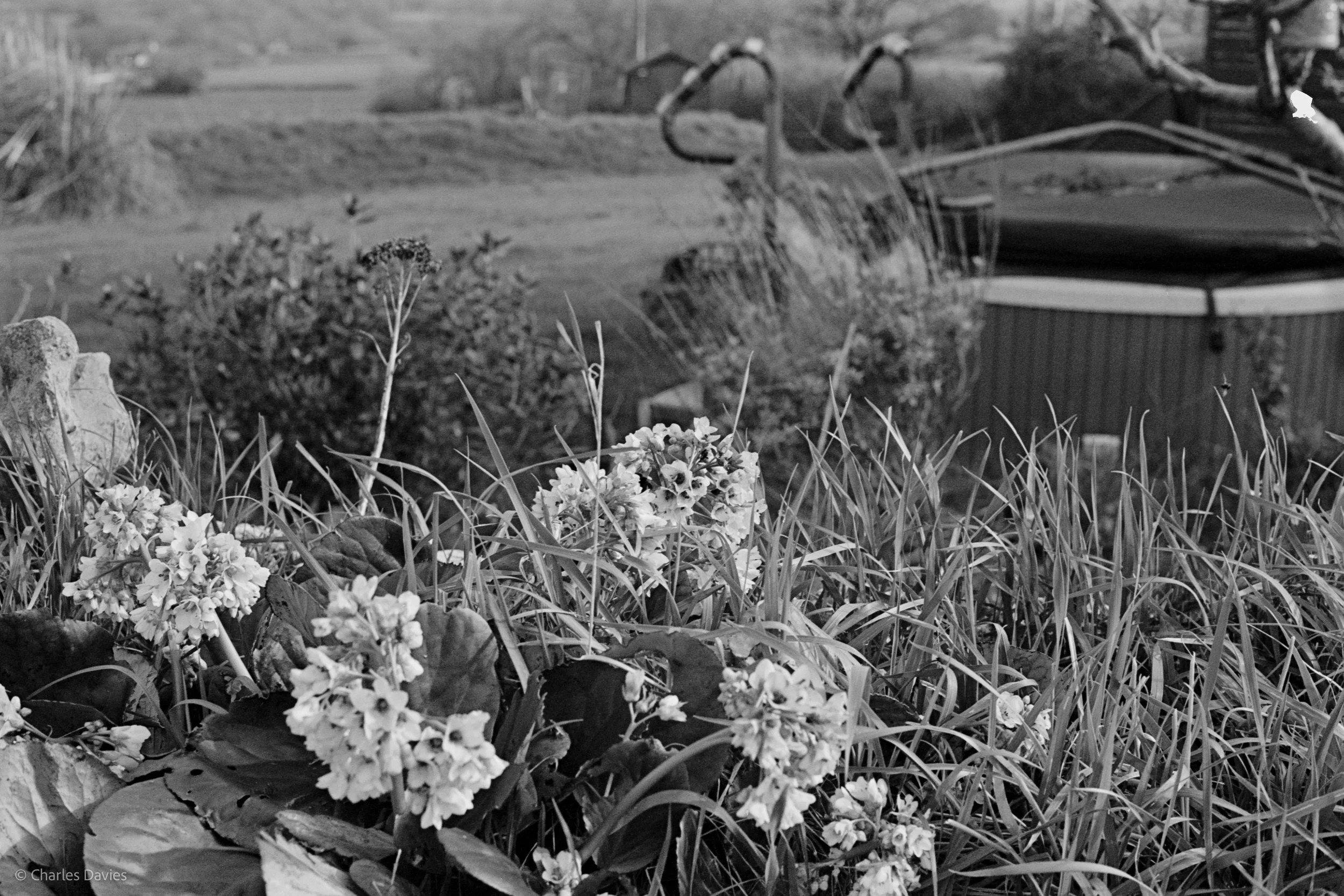 Shot 26 - F/8 + 1/500th - Home 