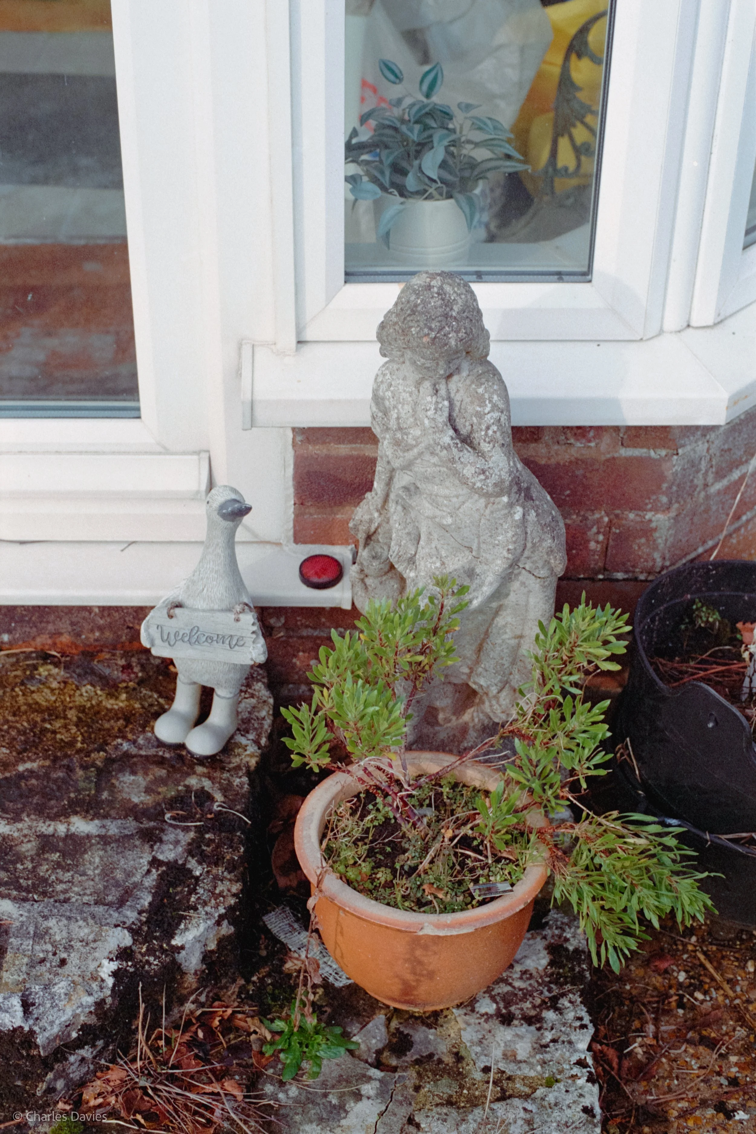 Roll 18 - 2025 - Europe - United Kingdom - Shute - Kodak UltraMax 400 - Contax RTS - 35mm - Film - Colour 