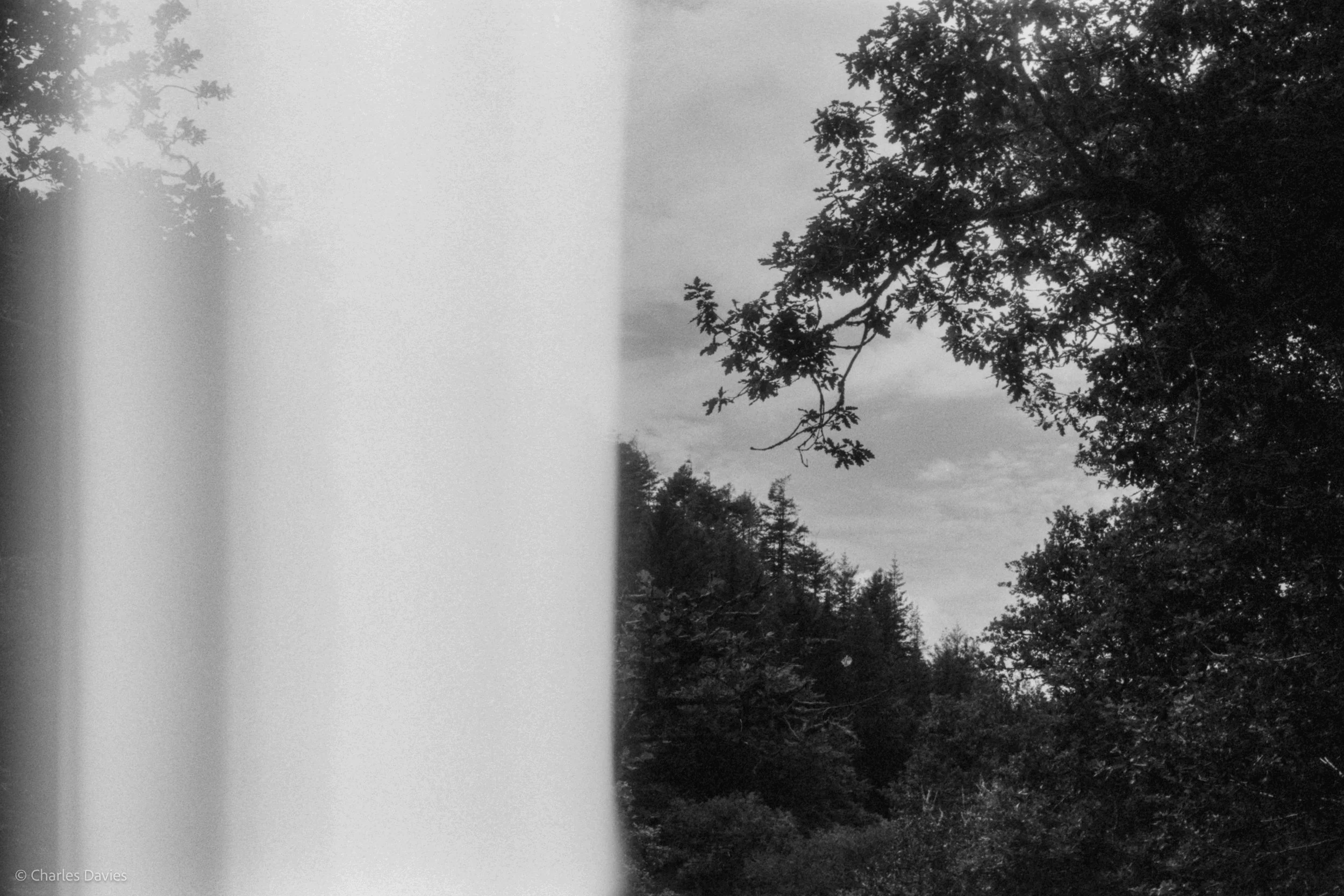 Roll 31 - 2025 - Europe - United Kingdom - Cardinham - Fomapan 400 - Contax RTS - 35mm - Film - B&W
