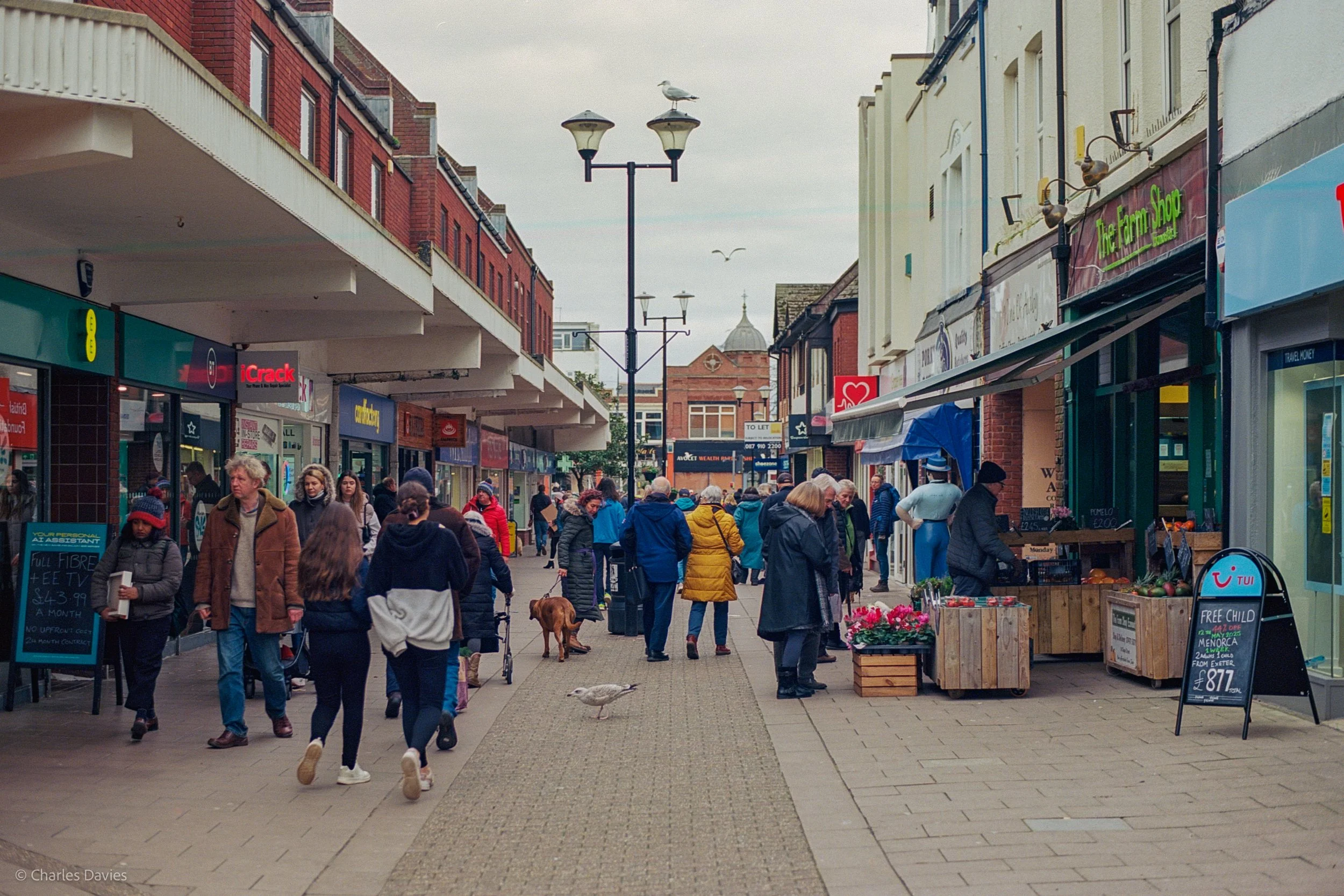 Roll 22 - 2025 - Europe - United Kingdom - Exmouth - Kodak Ektar 100 - Contax RTS - 35mm - Film - Colour