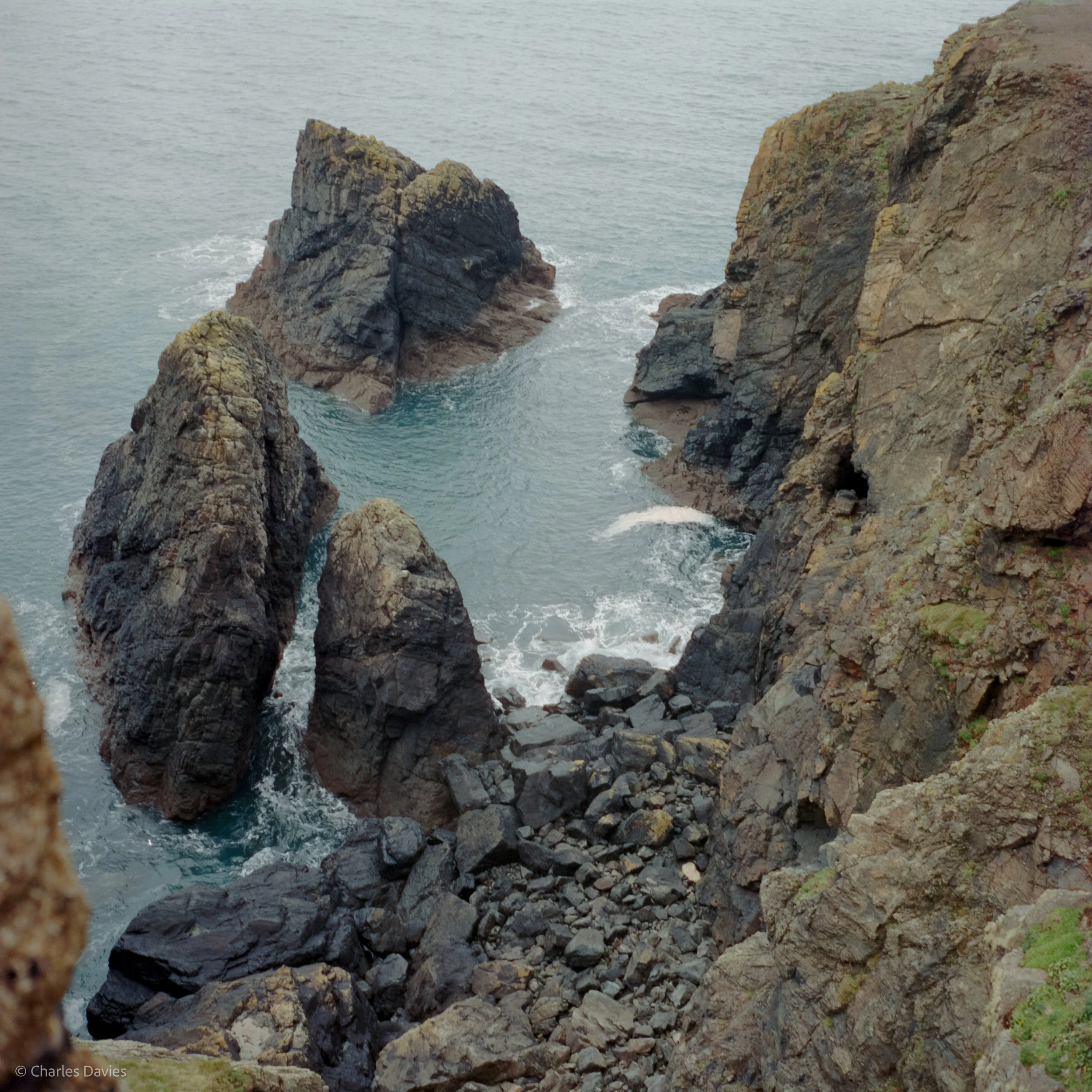 Image-4.jpg