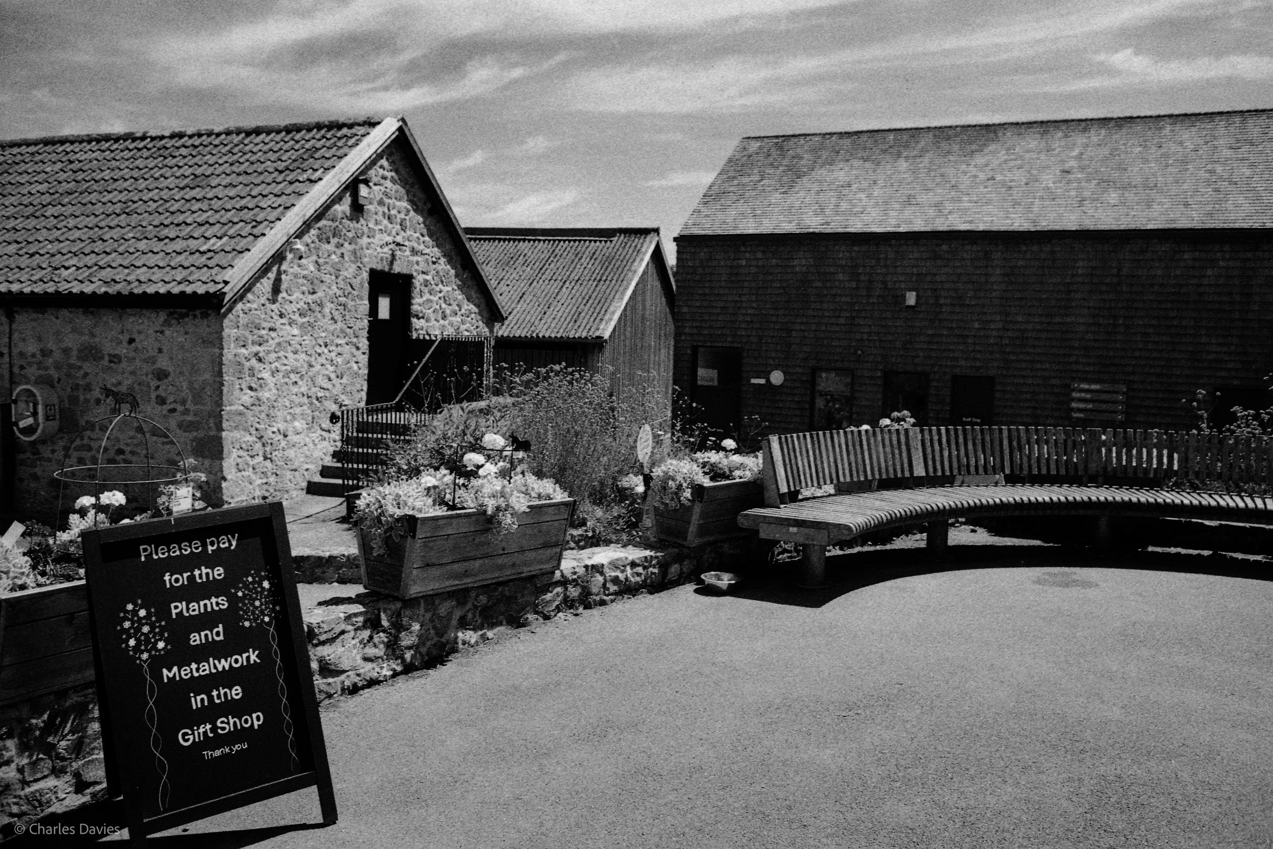 Shot 26 - Aperture Priority - The Donkey Sanctuary  