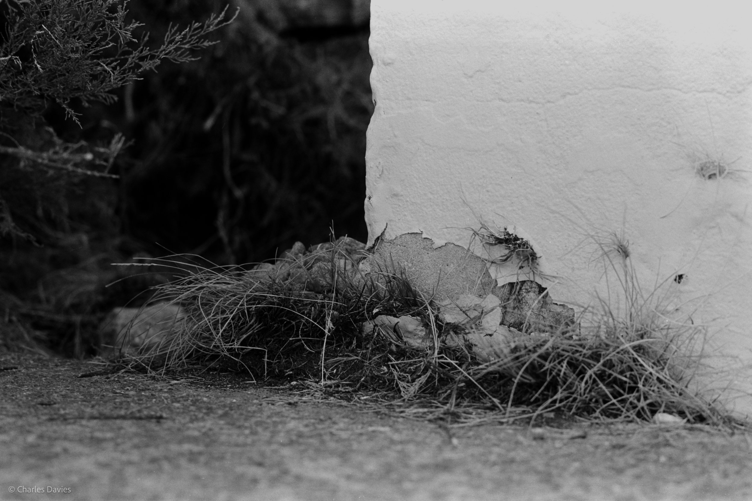 Shot 19 - Manual - Seaton 